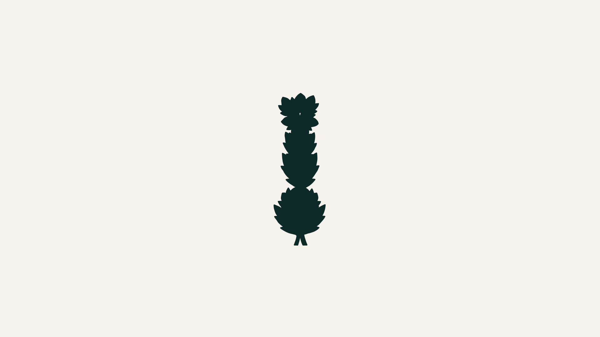 Silhouette of a pine cone with pine needles on a white background.