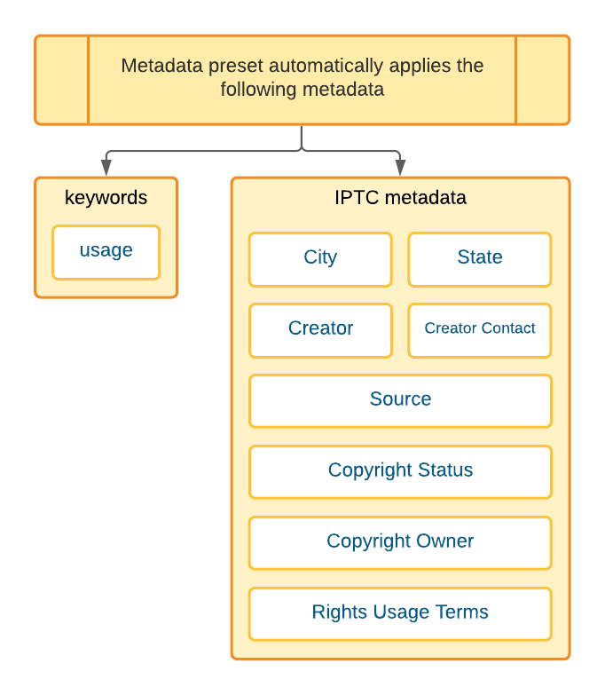 The metadata presets allowed users to automatically batch apply 9 kinds of metadata to imported photography.