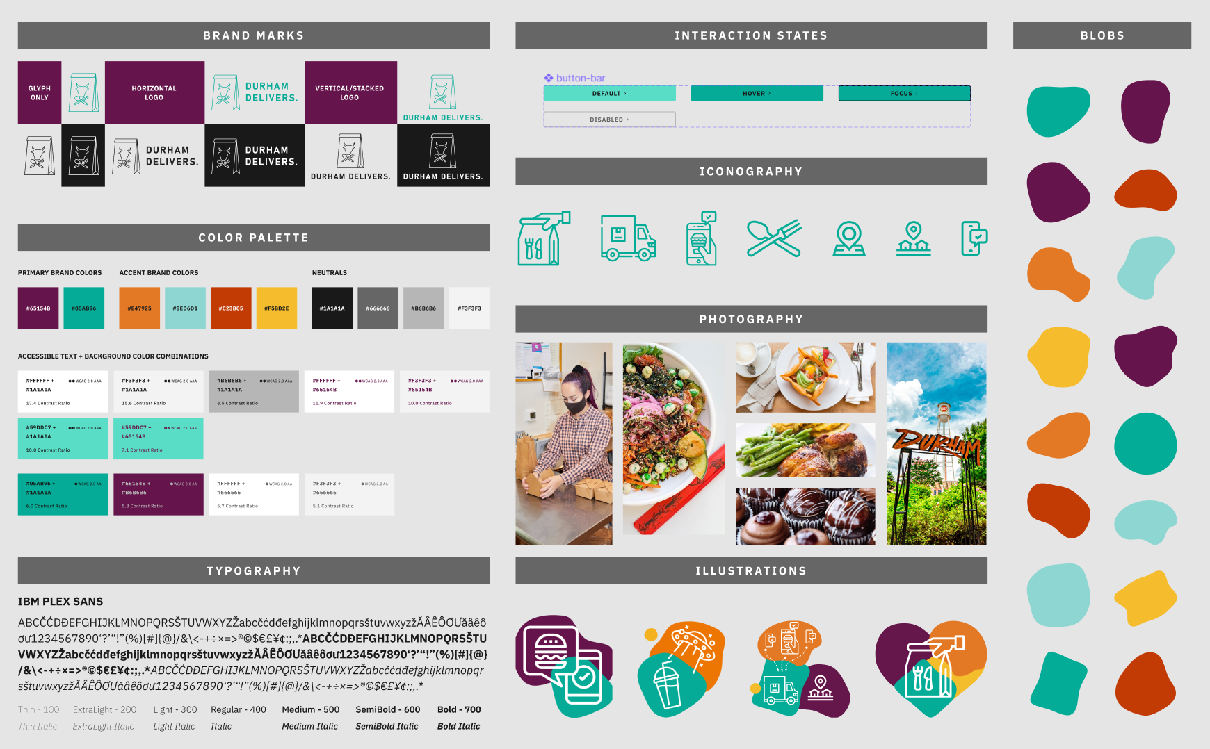 Screenshot of the Durham Delivers style guide