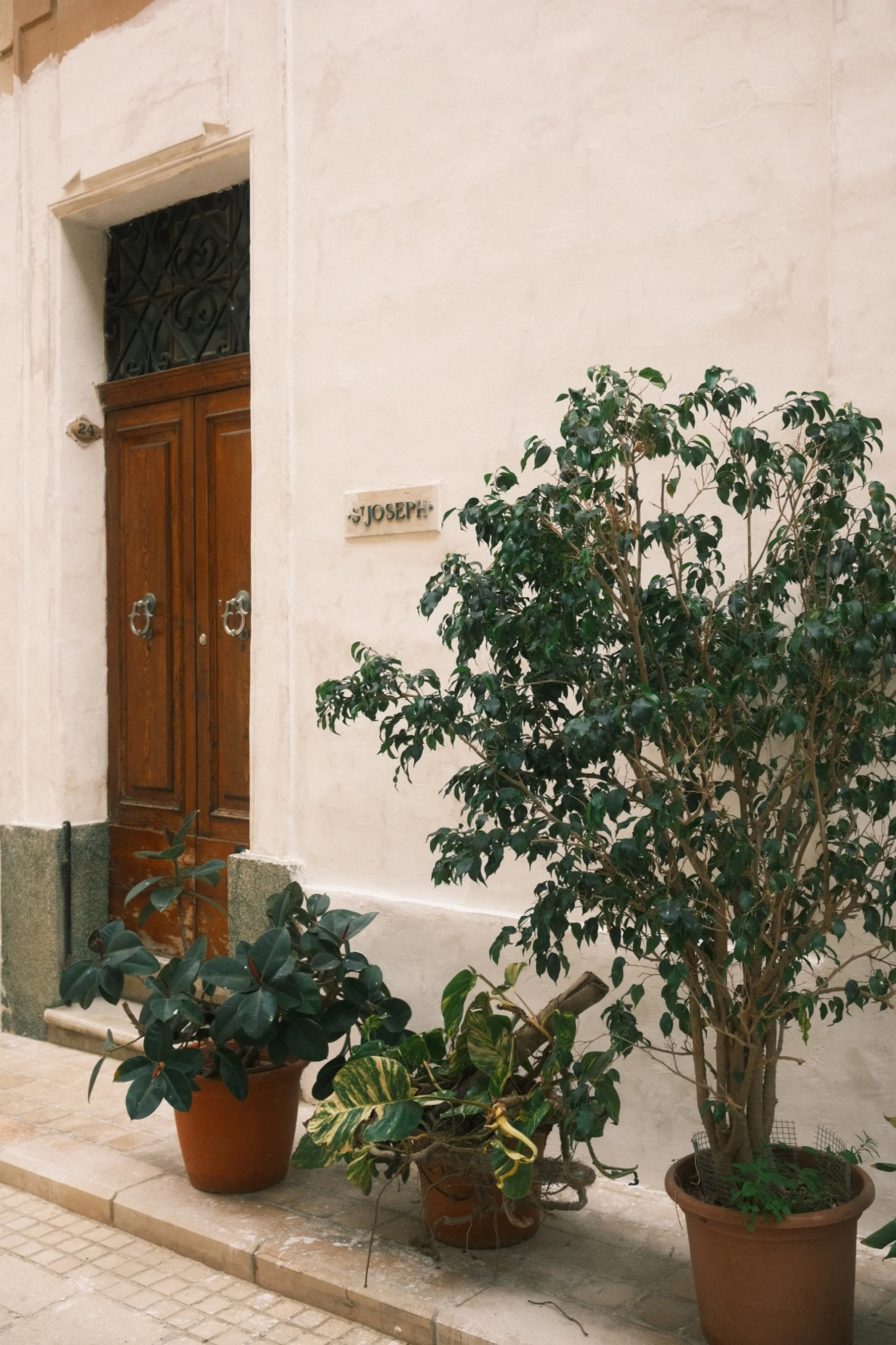 Wooden door with decorative ironwork, house number, and a sign that reads 'JOSÉPH,' flanked by potted plants and bushes along a stone pavement.