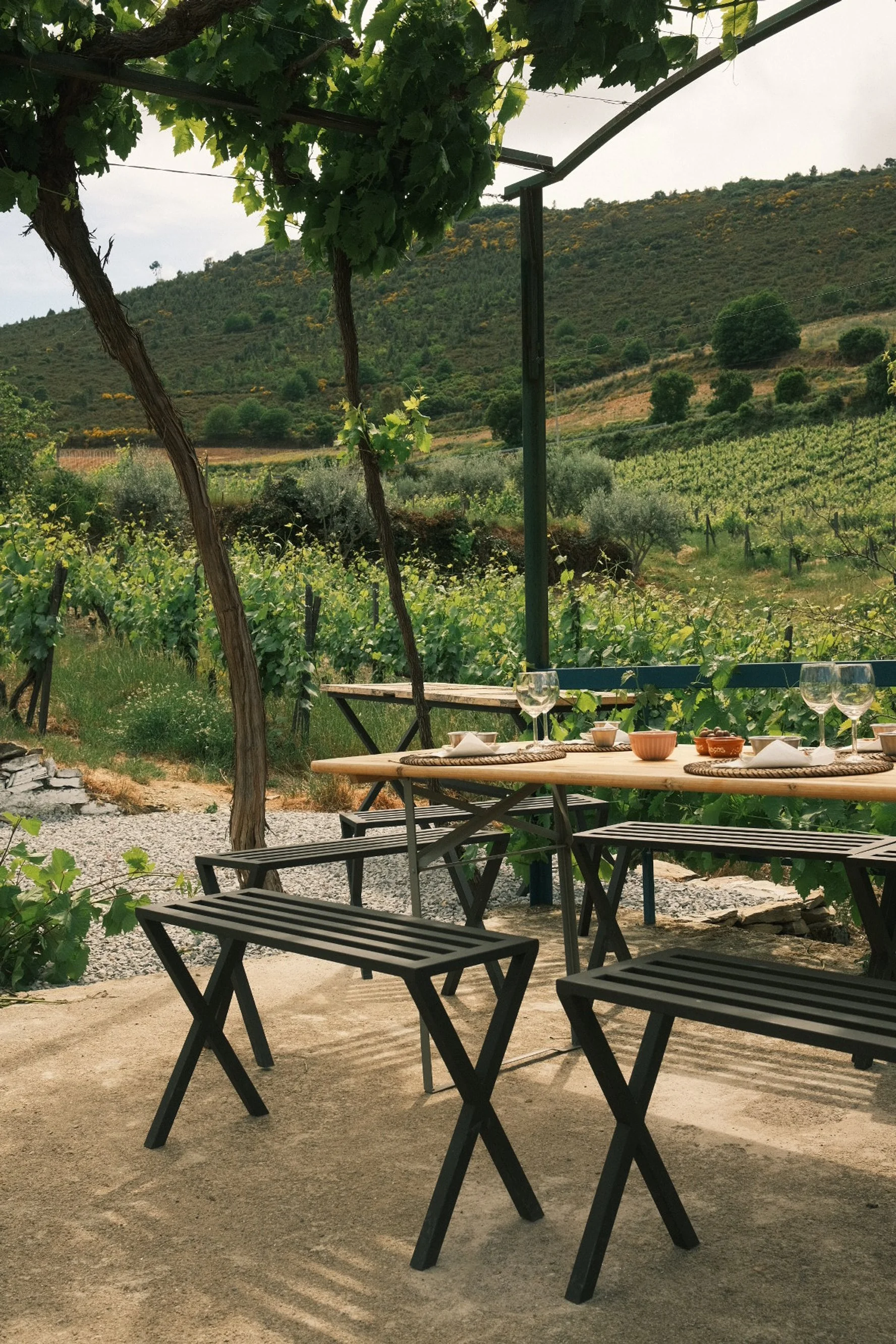 Outdoor dining table set up with glasses, bowls, and plates in a vineyard with rolling hills and greenery in the background.