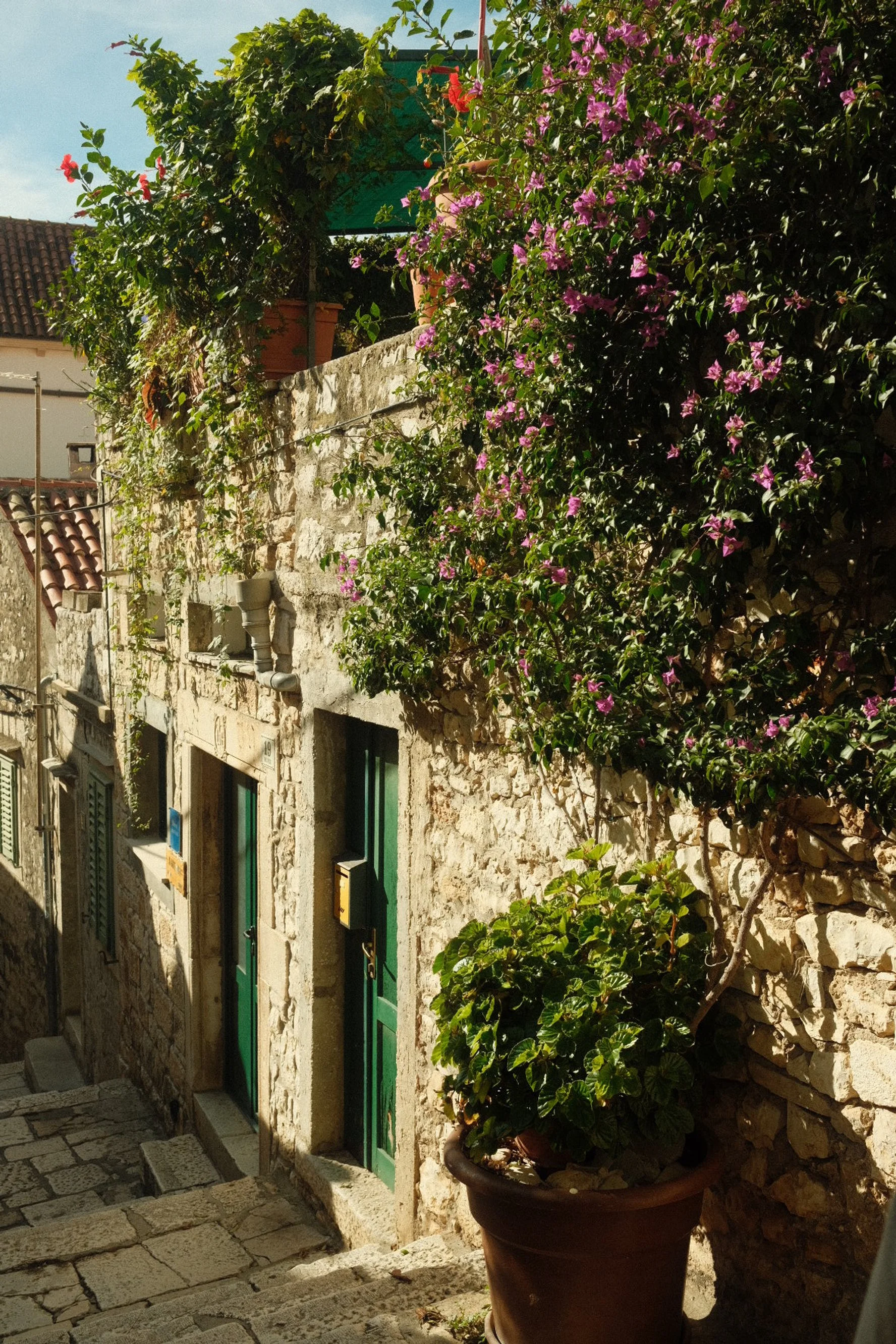 Stone alley with green doors and potted plants, next to a flowering bougainvillea on a sunny day.