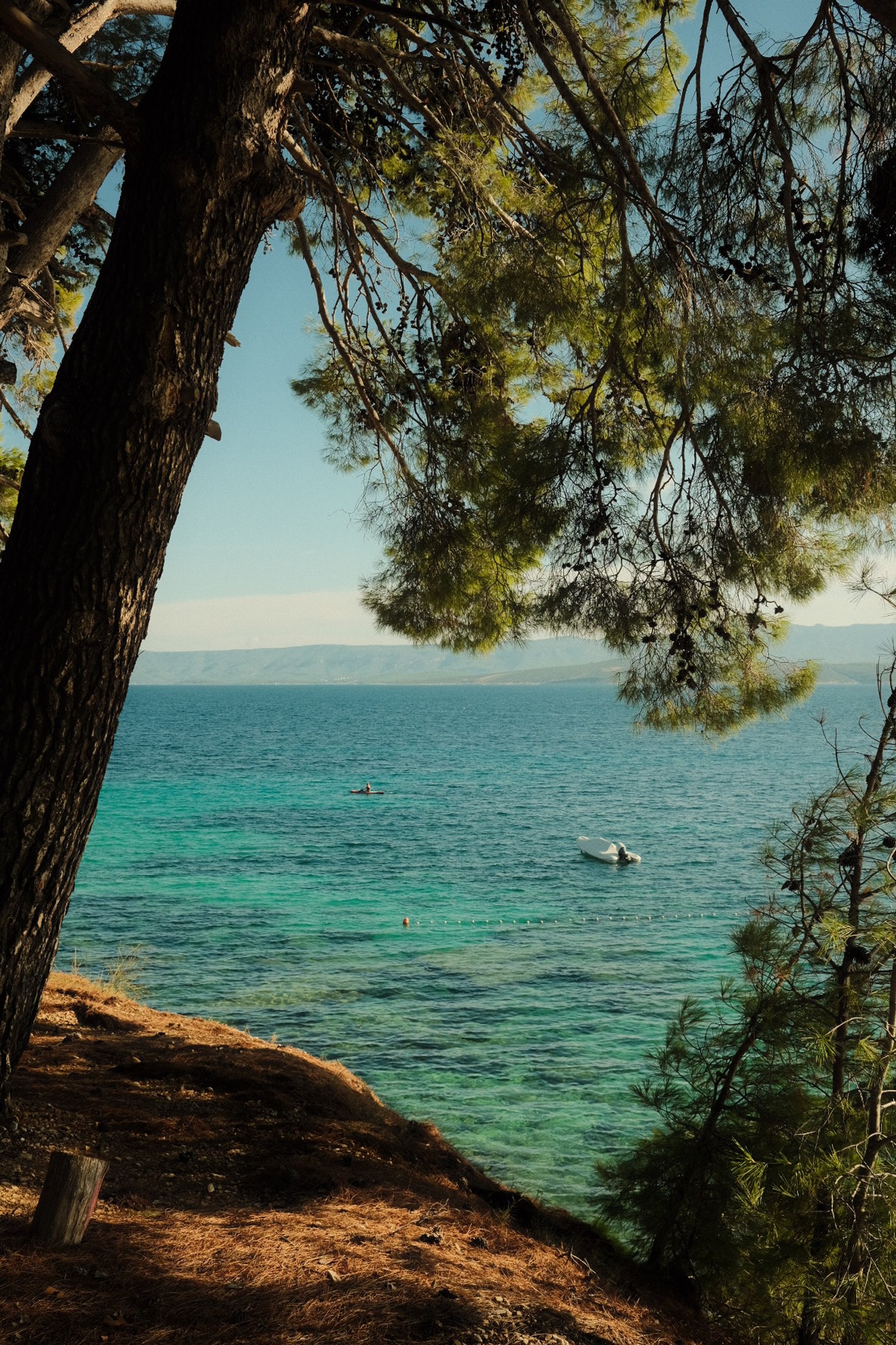 View of a serene lake with clear turquoise water, partially shaded by overhanging pine tree branches, with a small boat and a kayak floating on the water and distant mountains on the horizon.