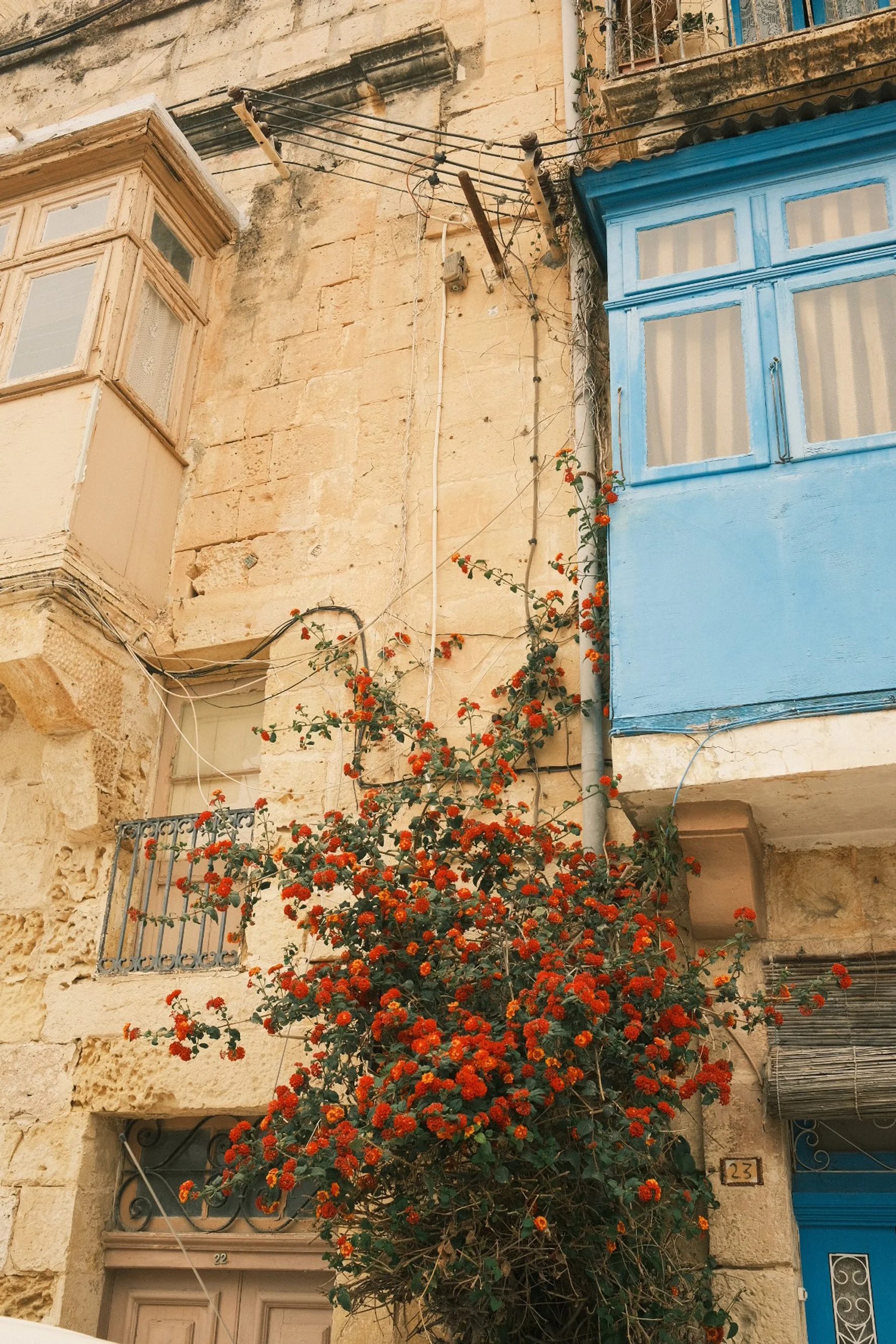 A stone building with beige walls, a blue house extension, and a balcony with a metal railing. A flowering vine with orange-red flowers climbs the wall. There are visible electrical wires and a weathered shuttered window.