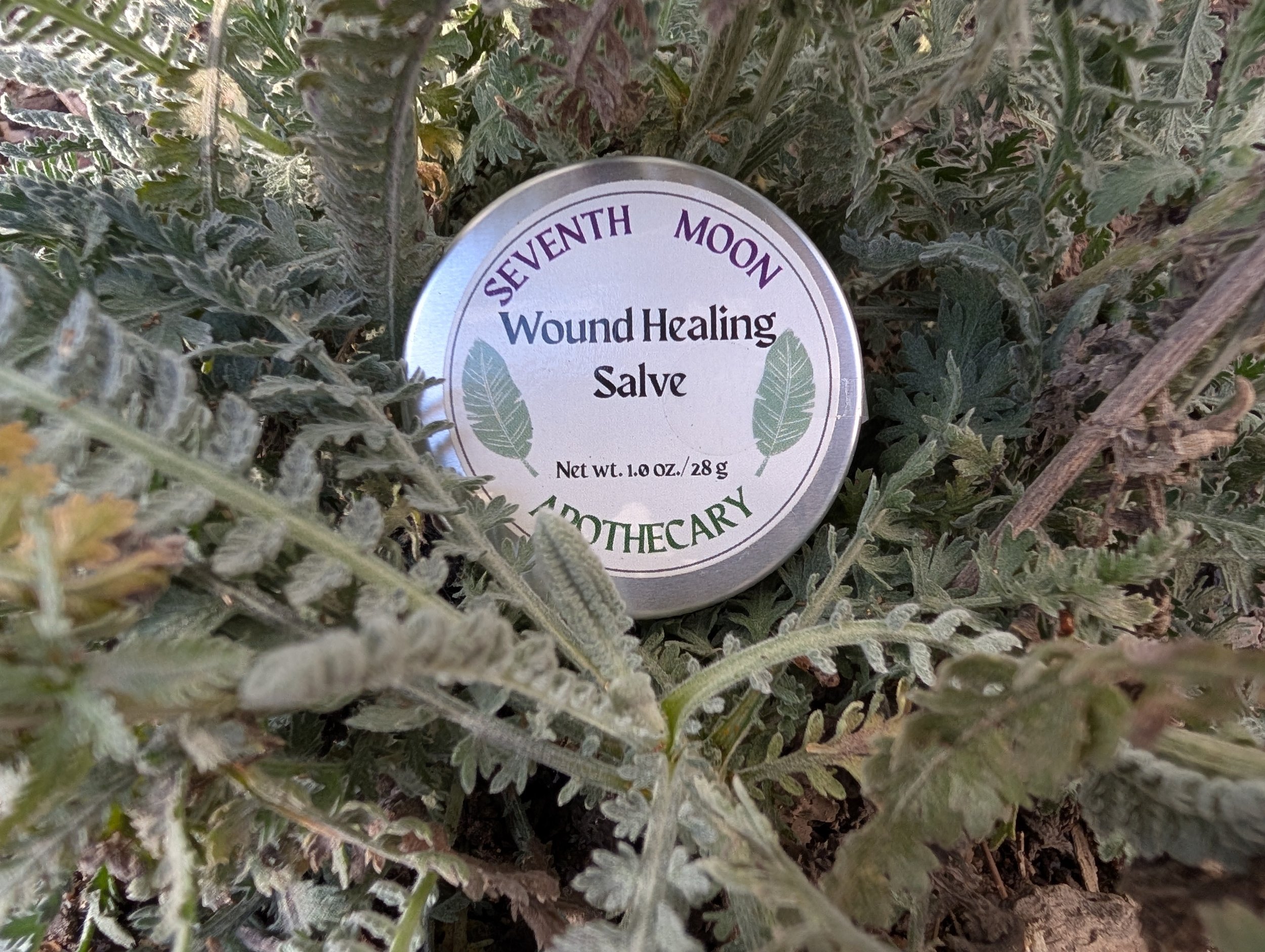 Wound Healing Salve 1.0 oz.
