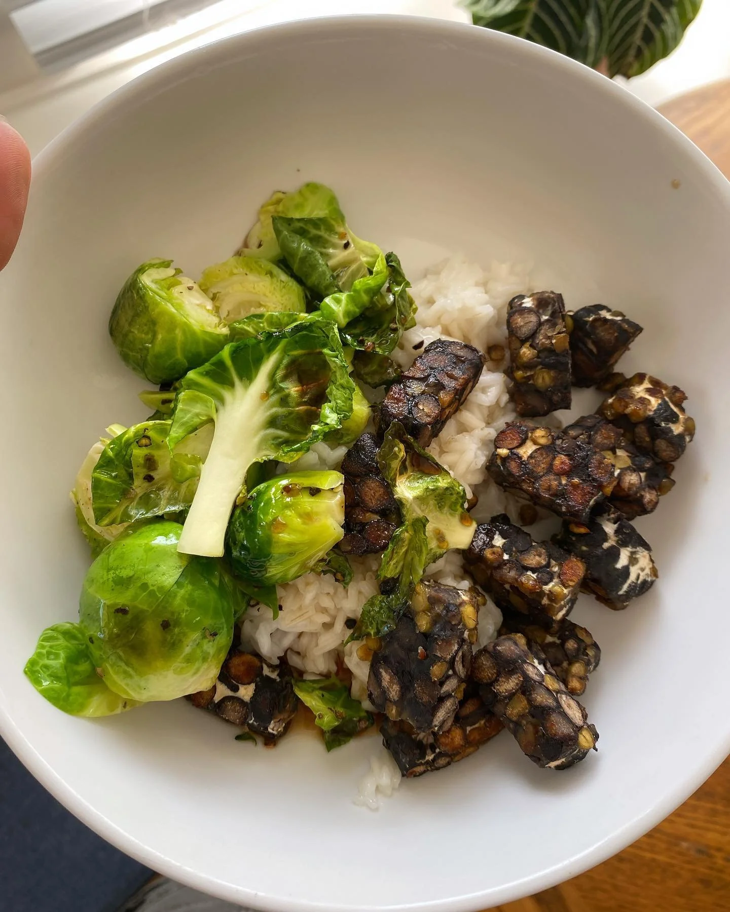 Played around with tempeh for the first time!! I found this at the Leucadia farmers market from @sandiegotempeh ☀️ made from organic black beans, mung beans, vinegar, culture, and rice flour 💥 
Although I do love certain animal proteins, it is a gre