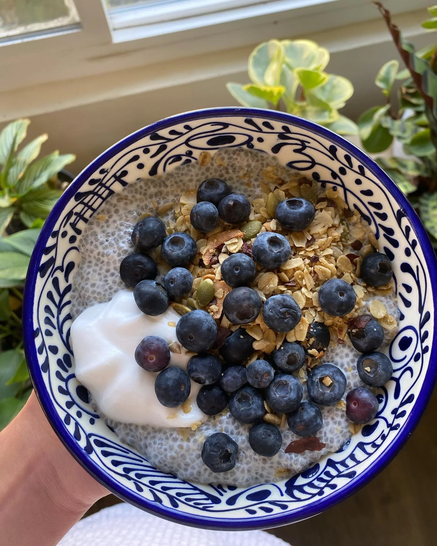Reasons why chia pudding has been my favorite breakfast recently:
🌟 It is FULLL of omega-3 fatty acids, which I&rsquo;ve found most people don&rsquo;t usually eat enough of (think fish, walnuts, pumpkin seeds, flaxseeds) - which are incredibly anti-