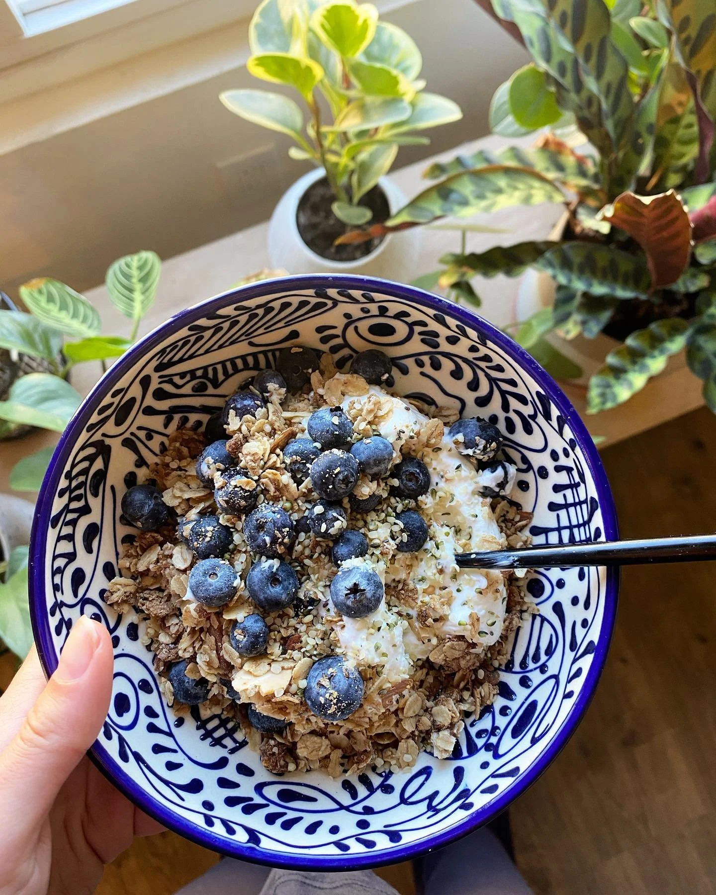 Some yummmmy treats as of recently! Healthy fats, fiber, phytonutrients babyyyy 🫐