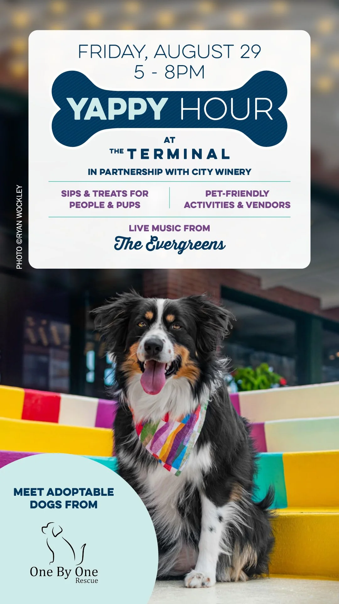 Yappy Hour @ The Terminal