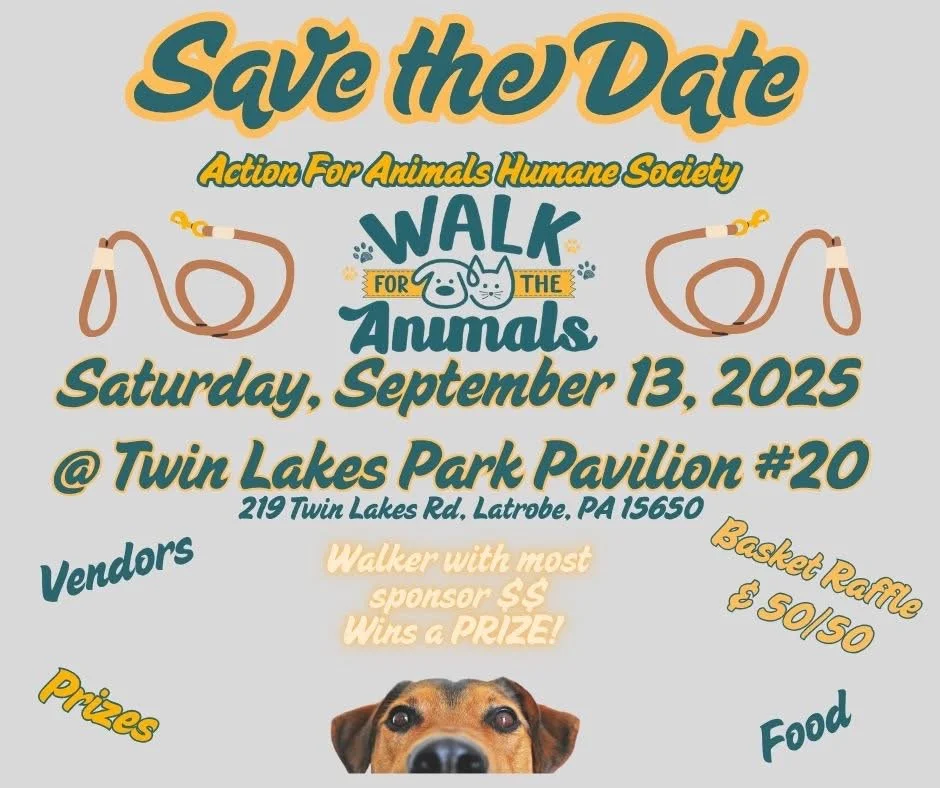 Walk for the Animals