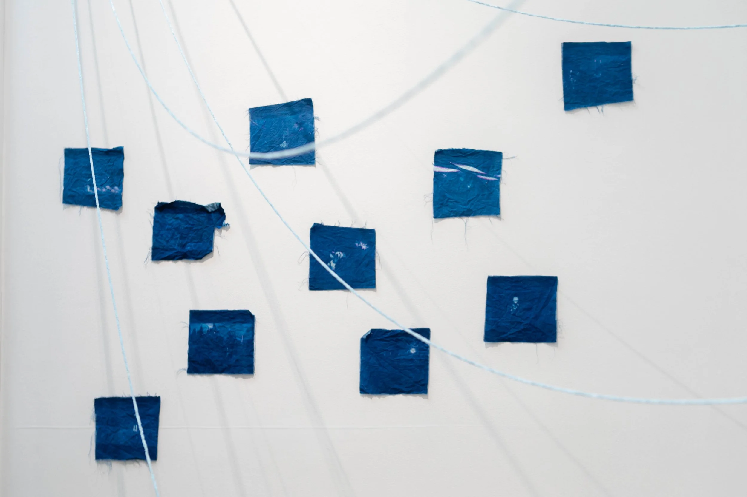 GenshinCyanotypes_NYFAExhibition.jpg
