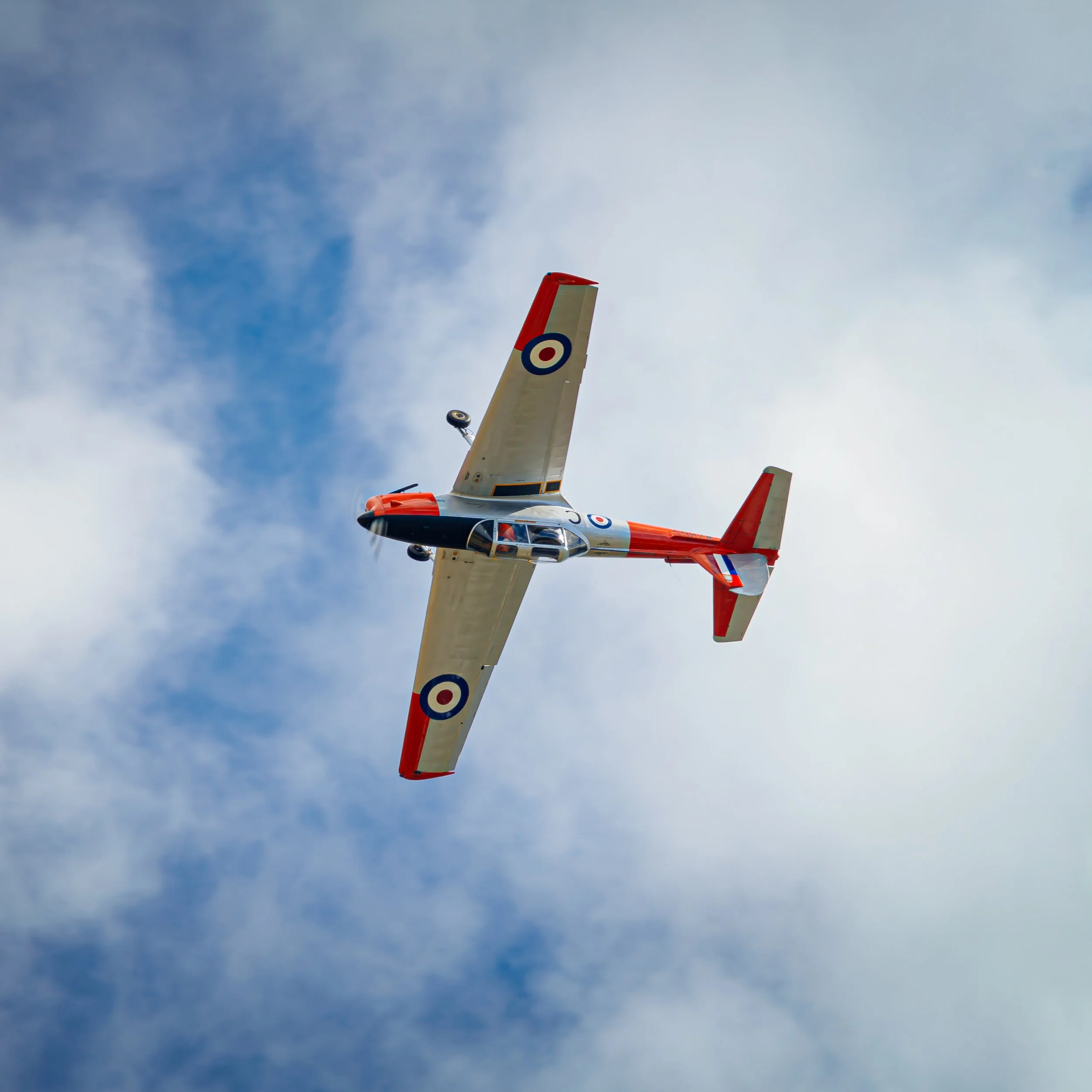 Chipmunk WZ865 inverted.jpg
