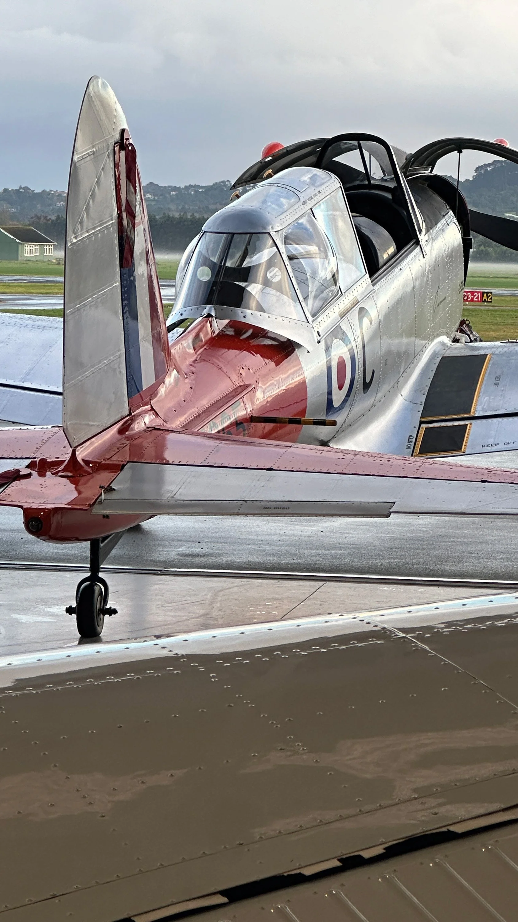 Chipmunk WZ865 IMG_4483.jpg