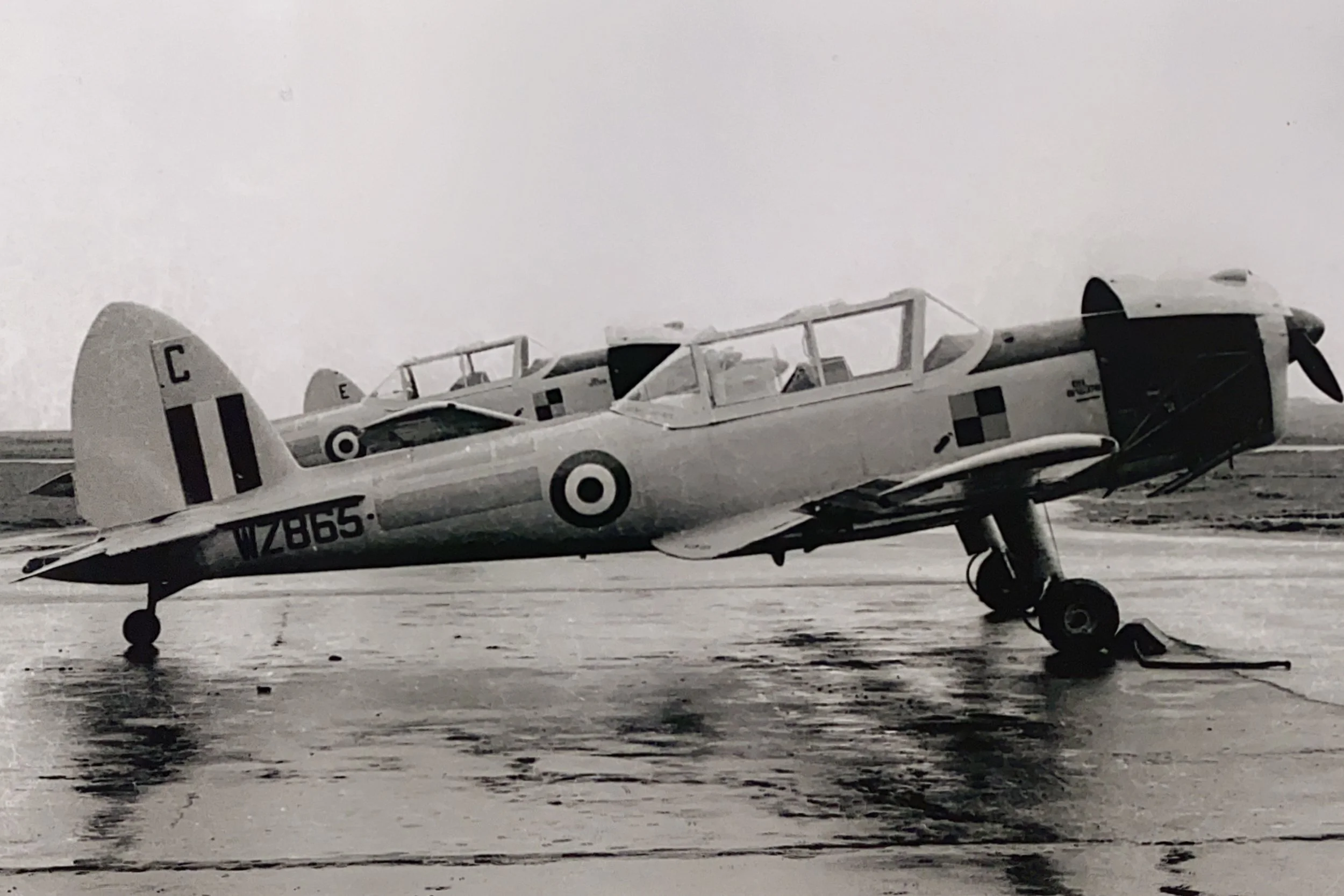 Chipmunk WZ865 in a typical Scottish setting.