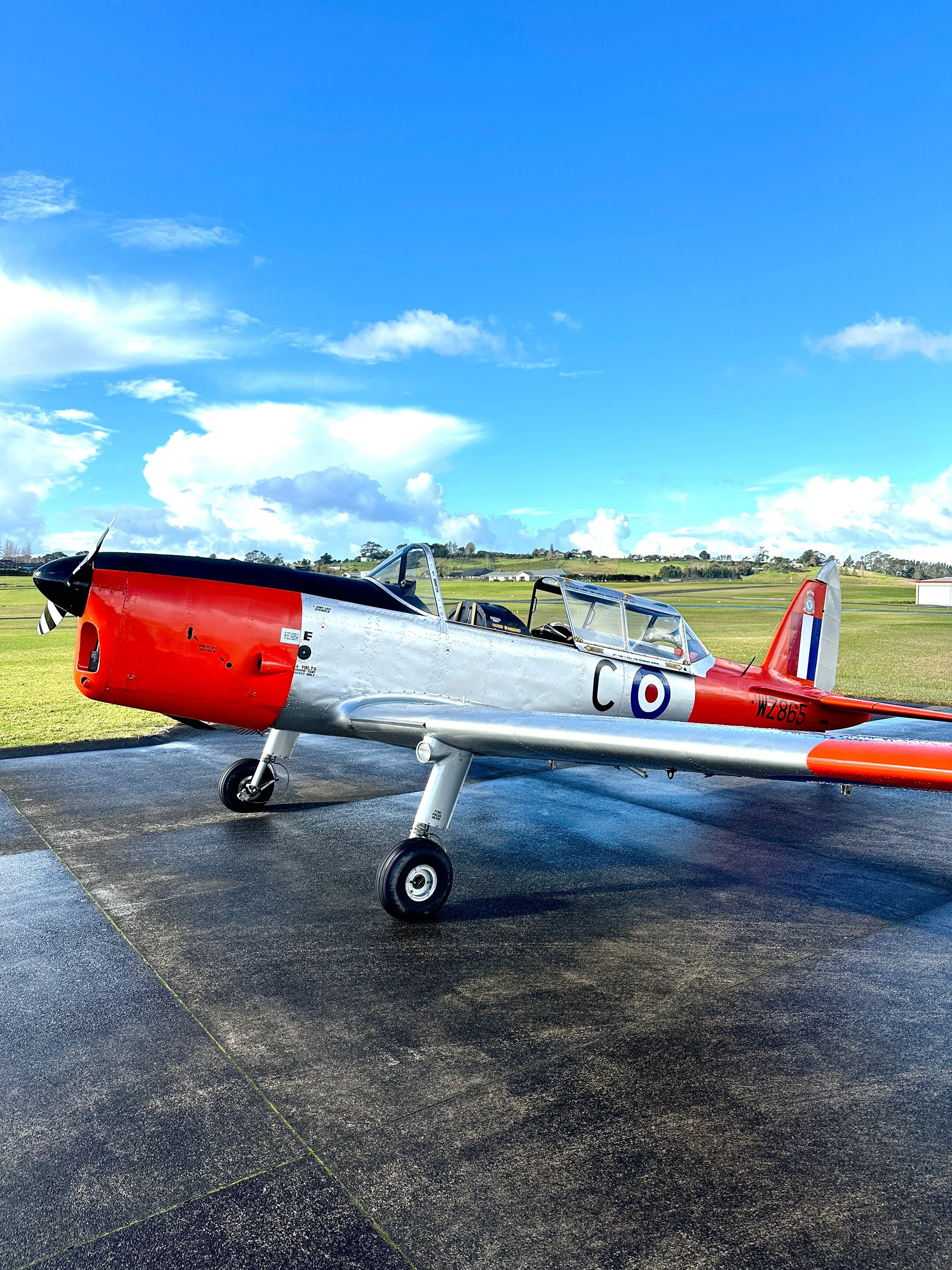 Chipmunk WZ865 IMG_4470.jpg
