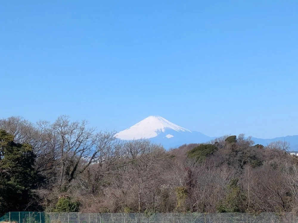 A Japanese way of not carrying everything