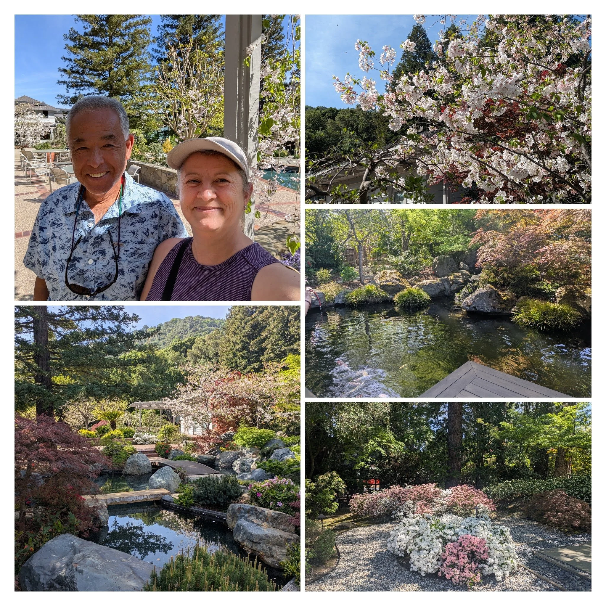 Lessons from the garden