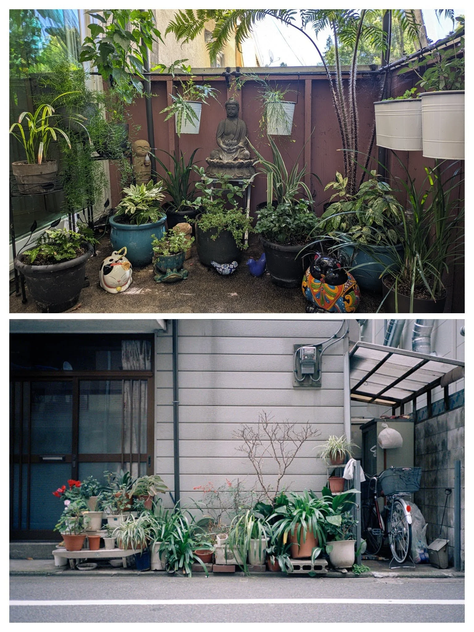 From Tokyo sidewalk gardens to my balcony
