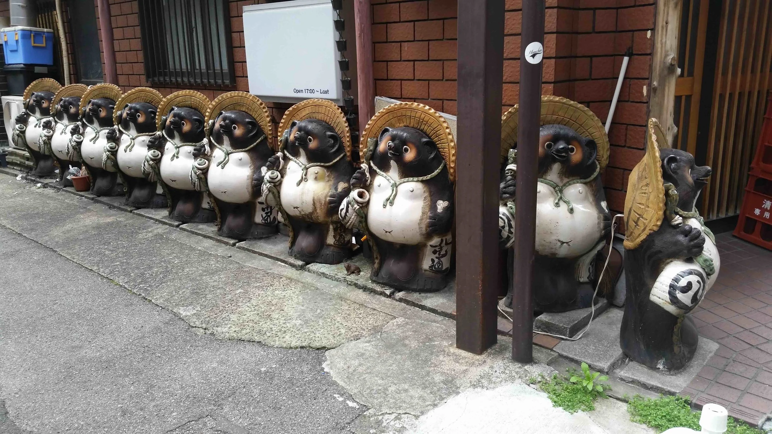 First the cats … now the Tanuki take over