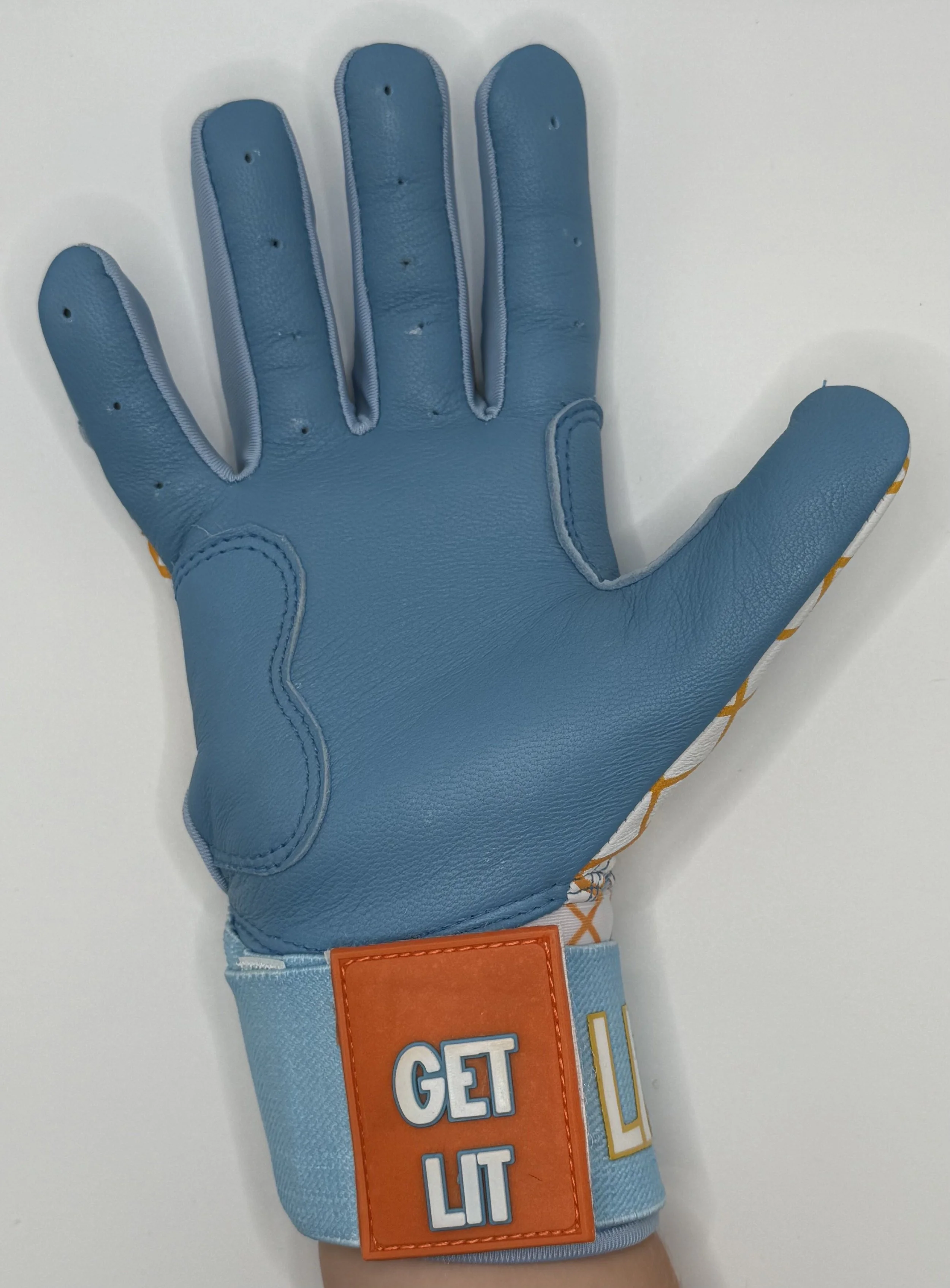 Waffle Cone Palm.jpeg