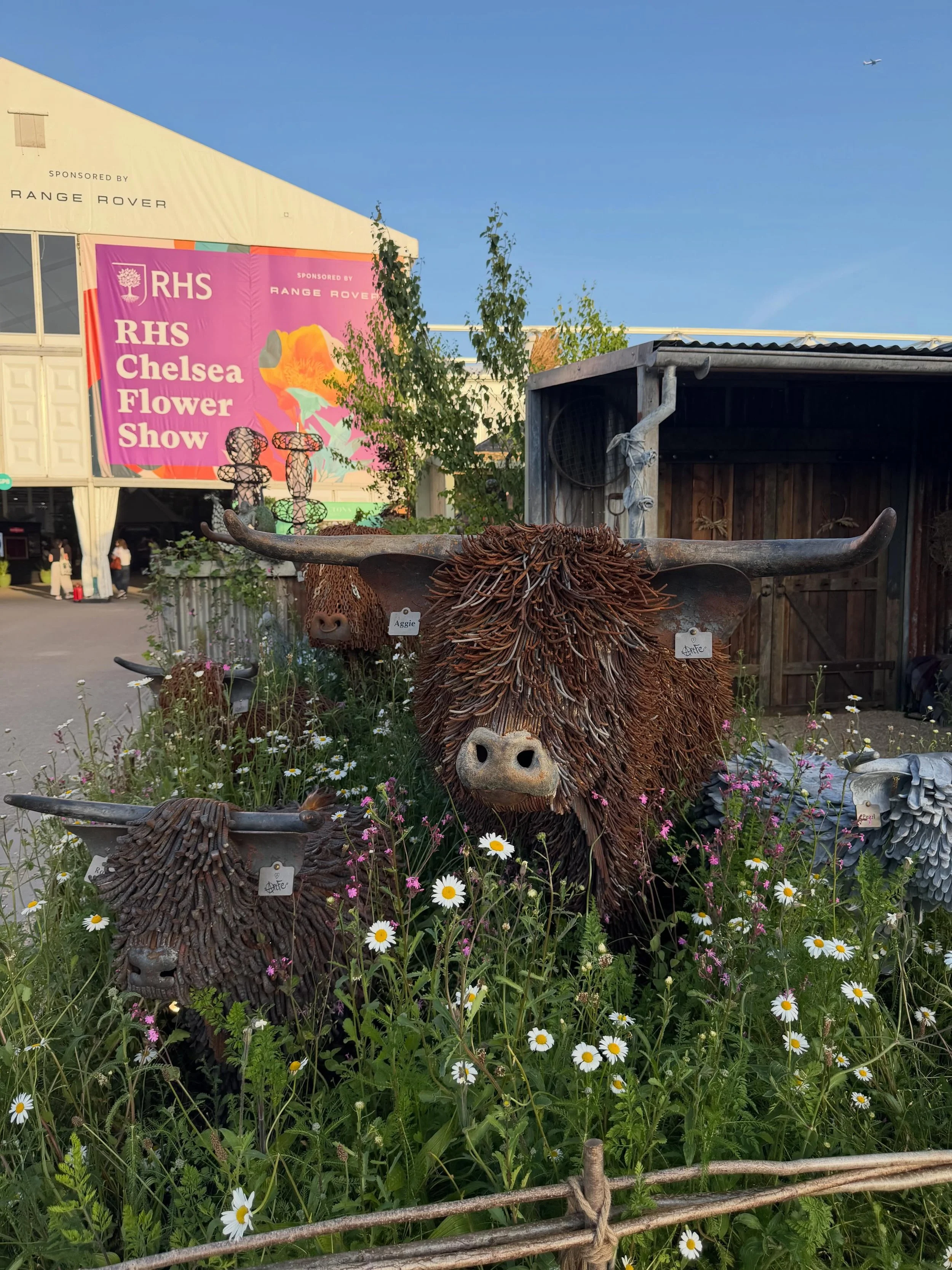 So much beauty to enjoy&hellip;RHS Chelsea Flower Show did not disappoint! The floral instillations out and about in the RBKC were also a highlight. The show has grown a lot over the years and London was buzzing with natural energy. Truly inspiring! 