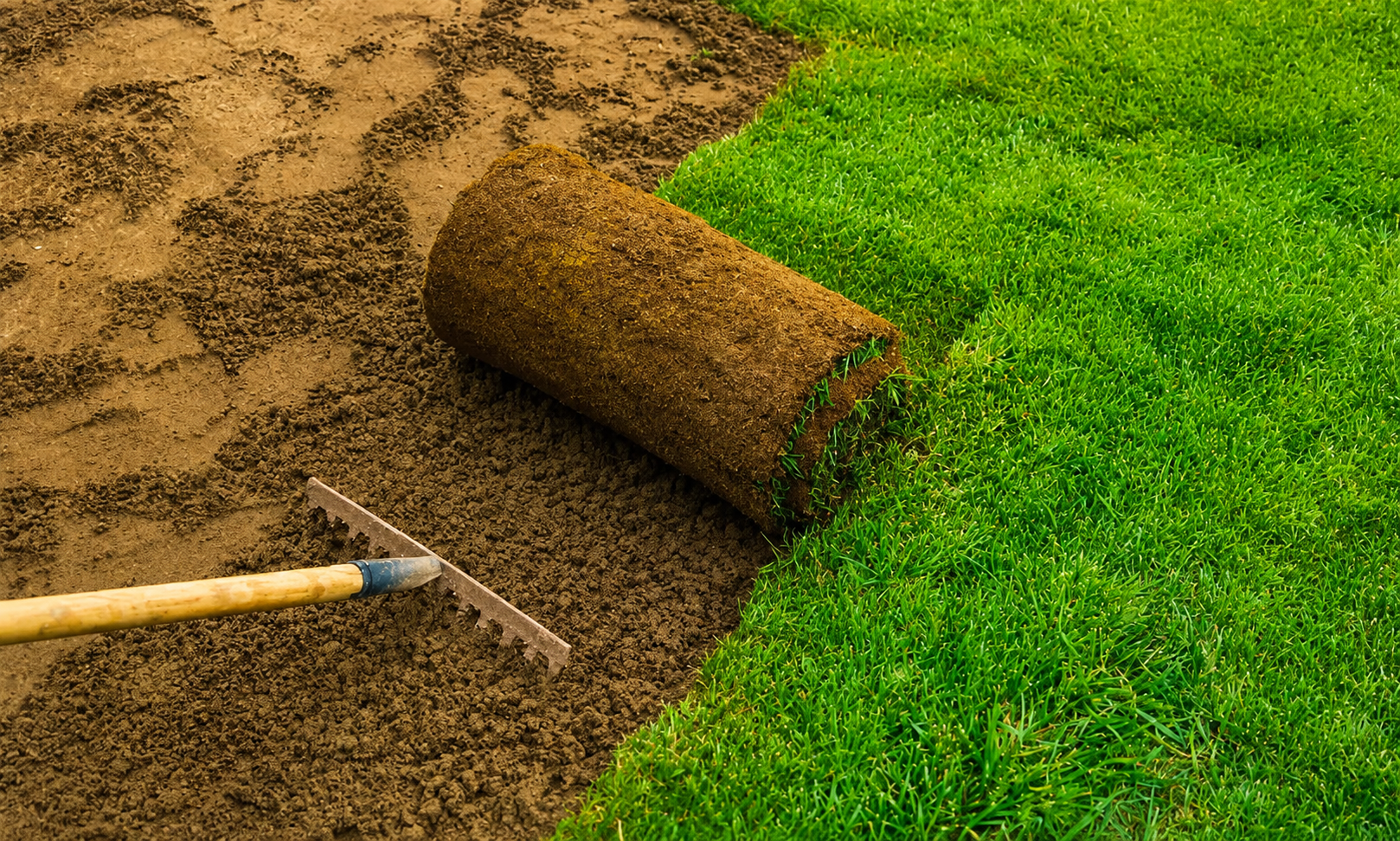 Benefits of Professional Sod Installation for Immediate Lawn Improvement