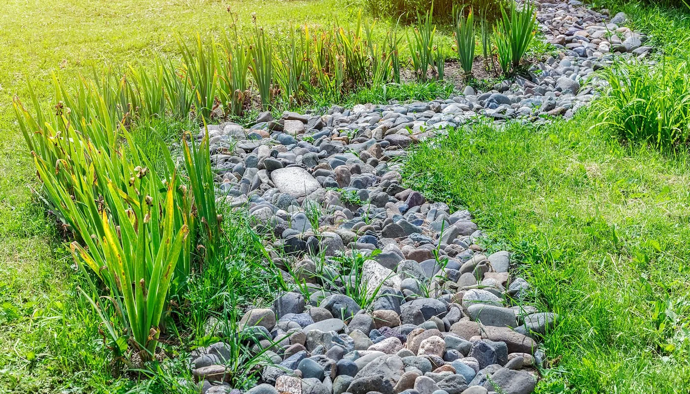 How to fix standing water in your yard: a johnson county guide