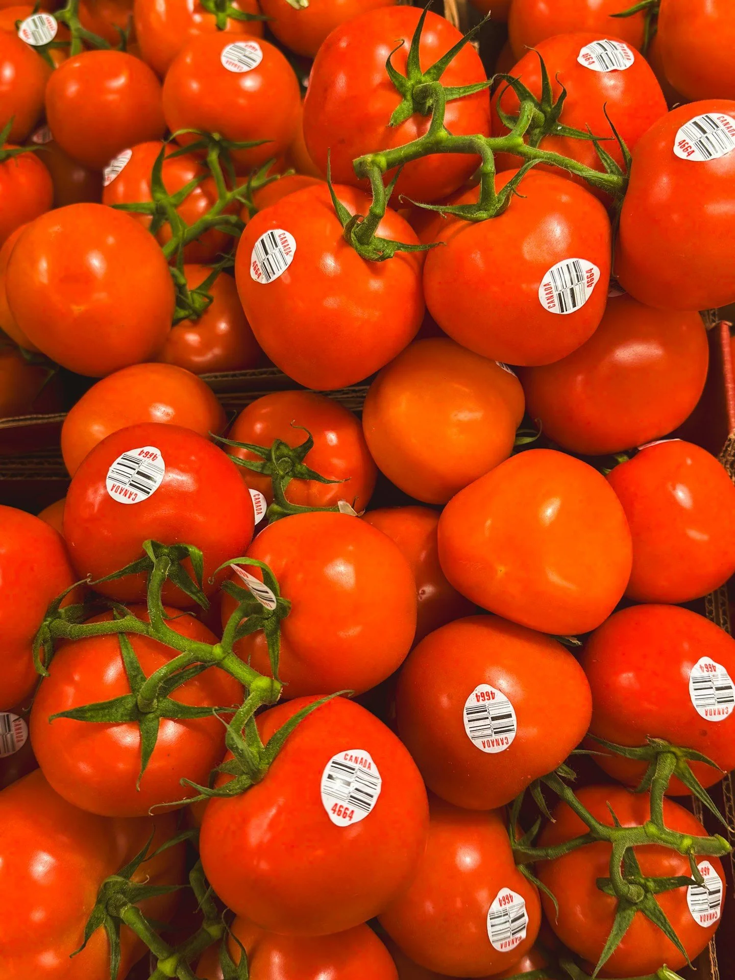 Fresh, flavorful, and full of color 🍅💚 Our vine-ripened tomatoes are ready to brighten up your salads, sandwiches, and sauces.