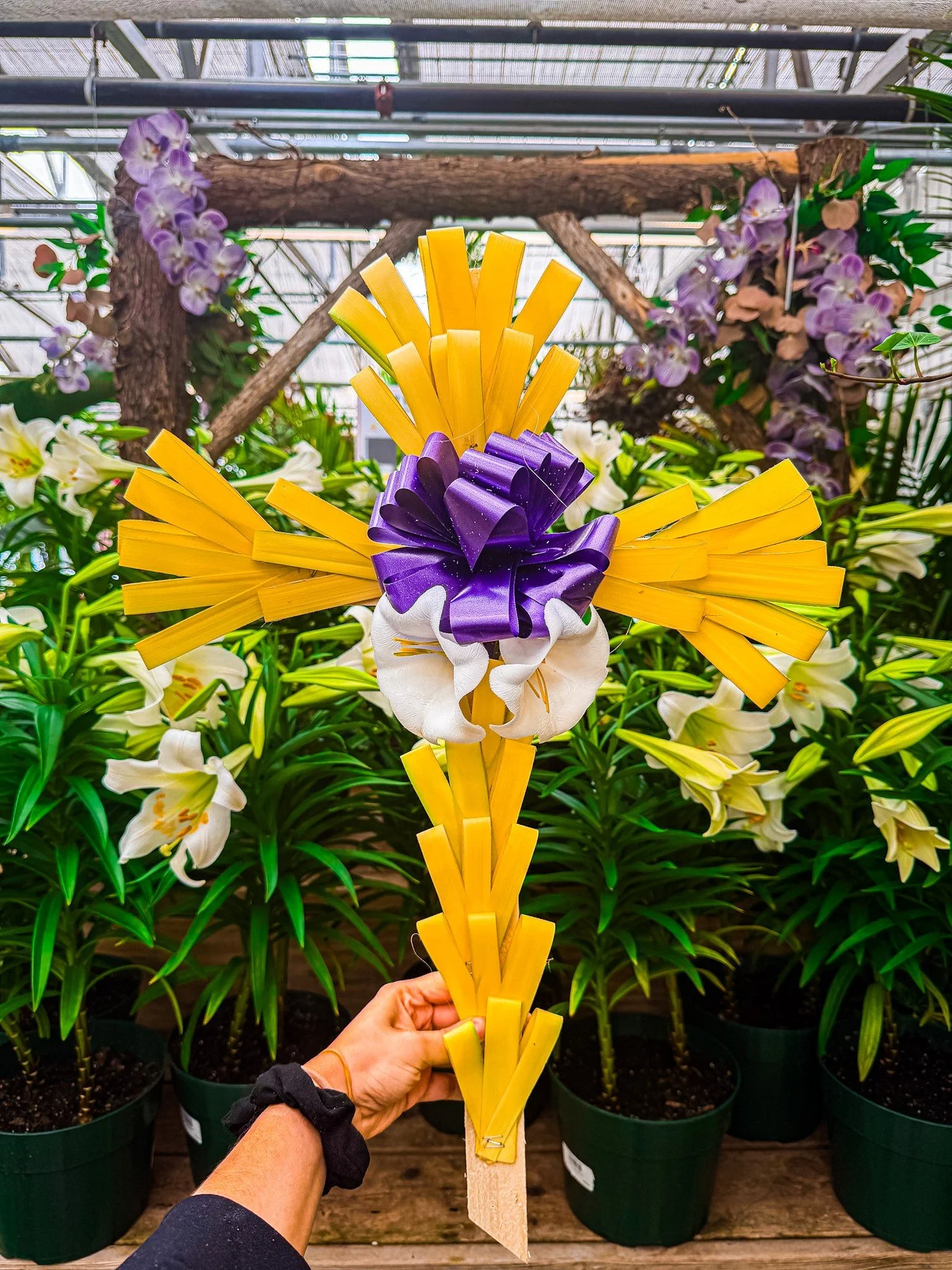 Palm Sunday traditions, made with heart 💚✨

Our hand-crafted palm crosses are here, simple, beautiful, and full of meaning as we head into Easter week. Find them in all of our stores and bring a little tradition home with you 🌿💚