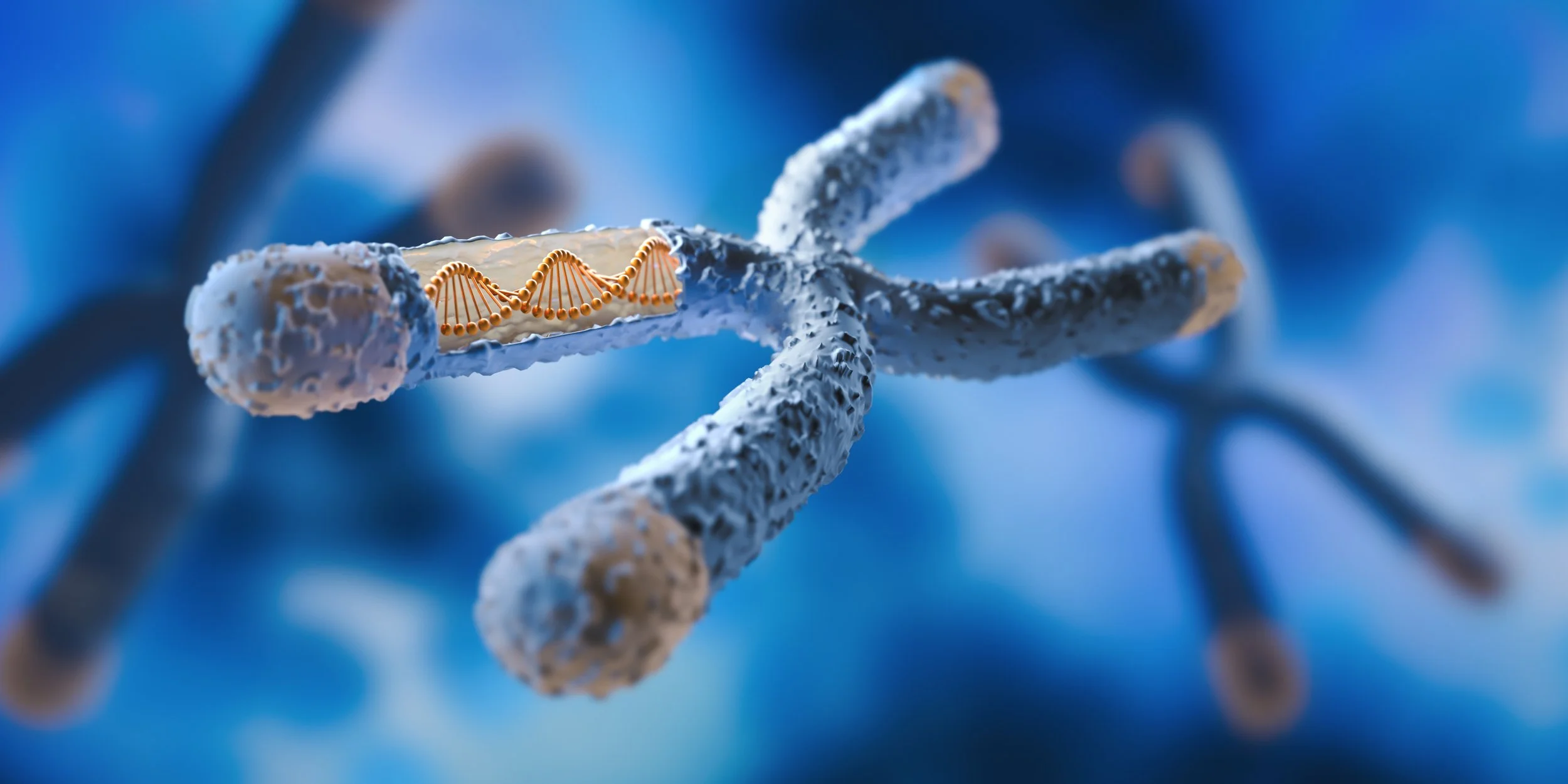 Close-up of a DNA strand inside a microscopic structure resembling a starfish.