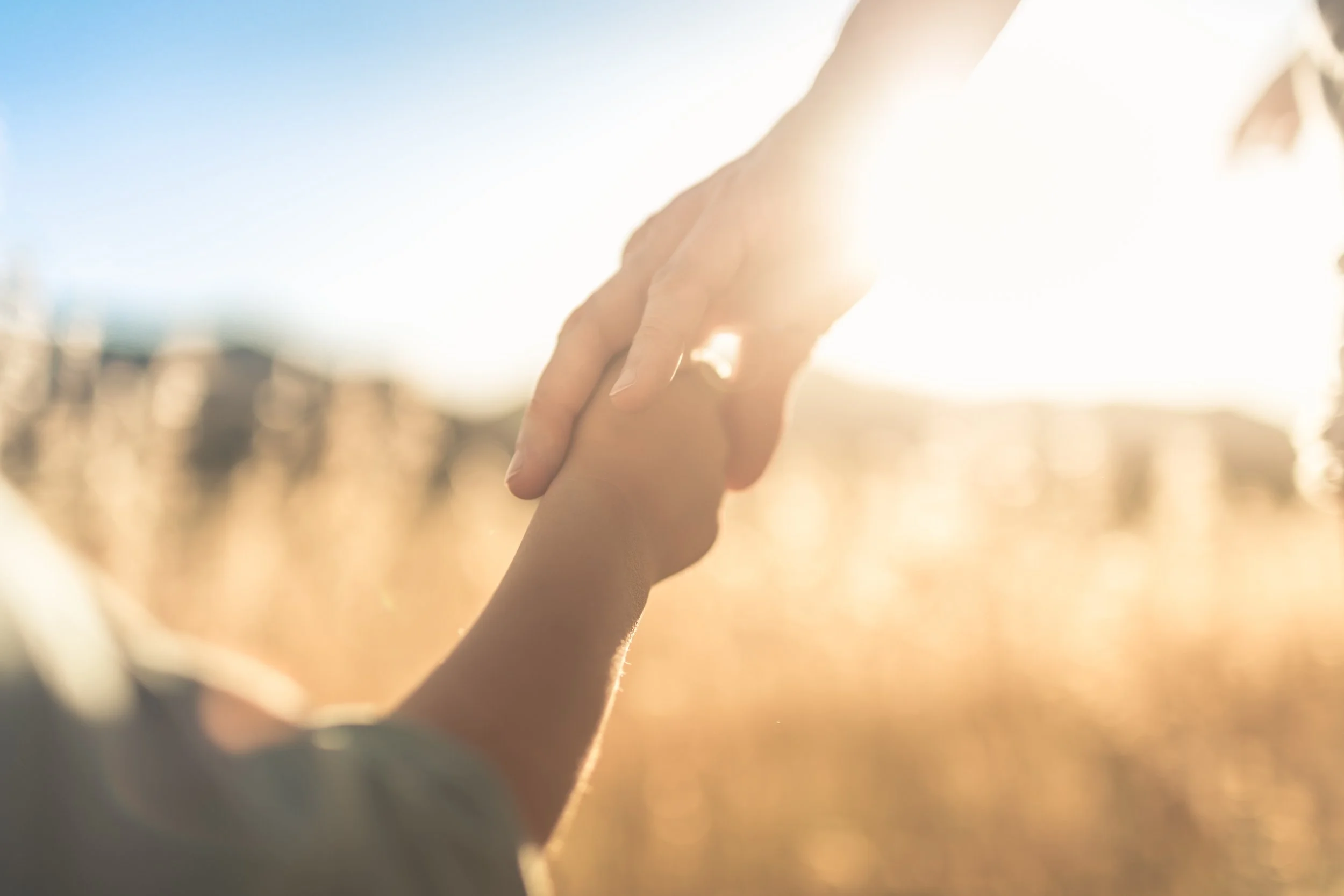Close-up of two hands, one adult and one child, reaching out to touch each other with sunlight in the background.