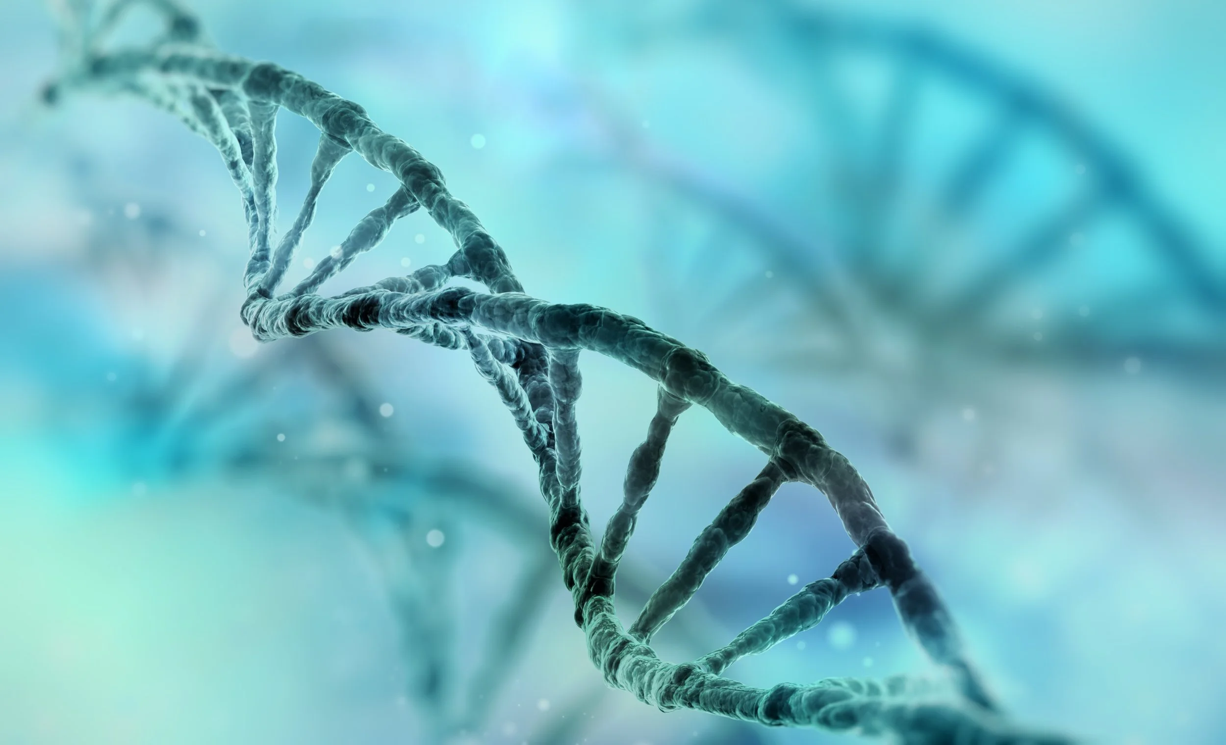 Advanced Pathology | Discover Your Health Insights — Kylie Cloney
