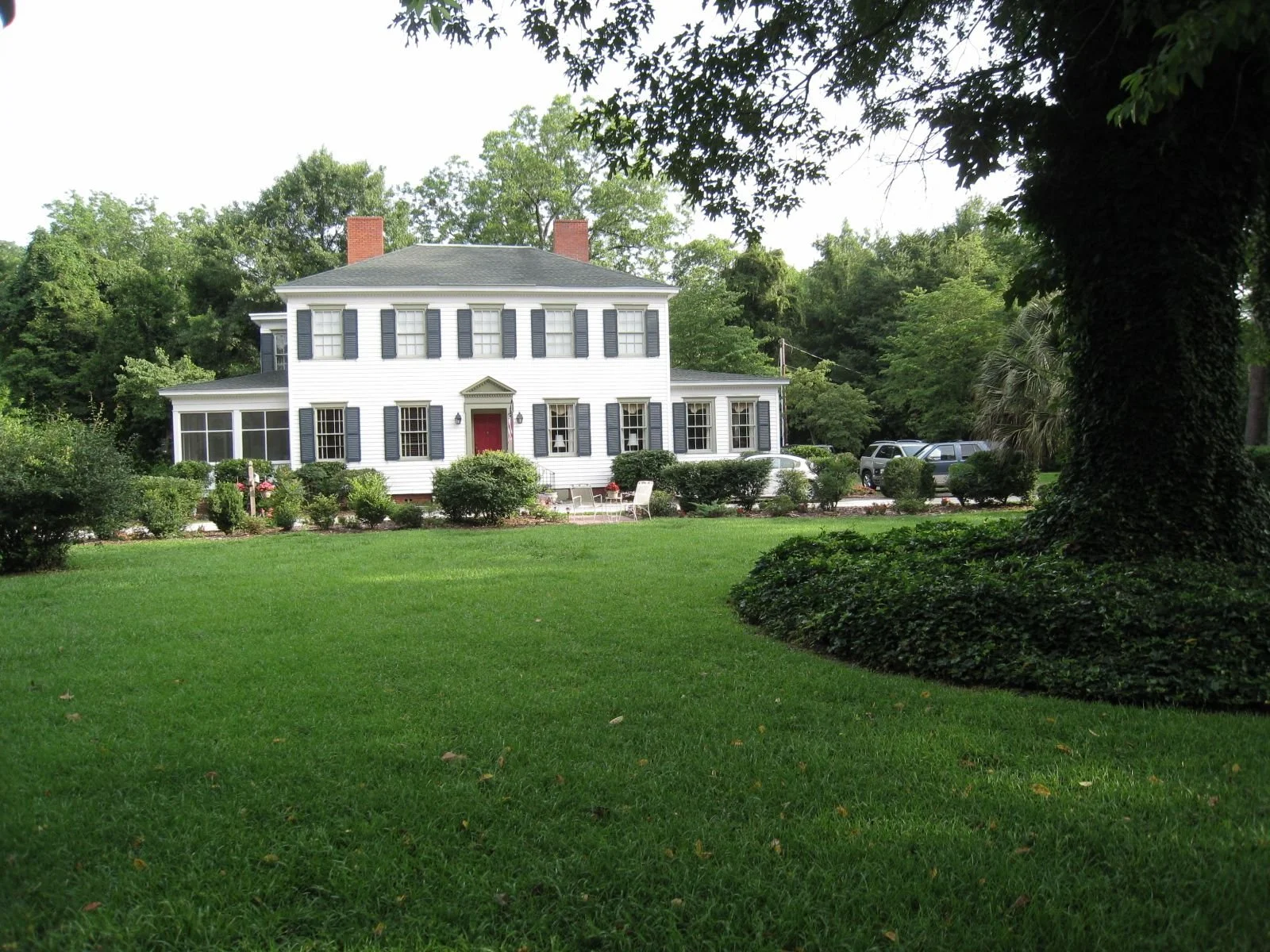 Evening Under the Oaks