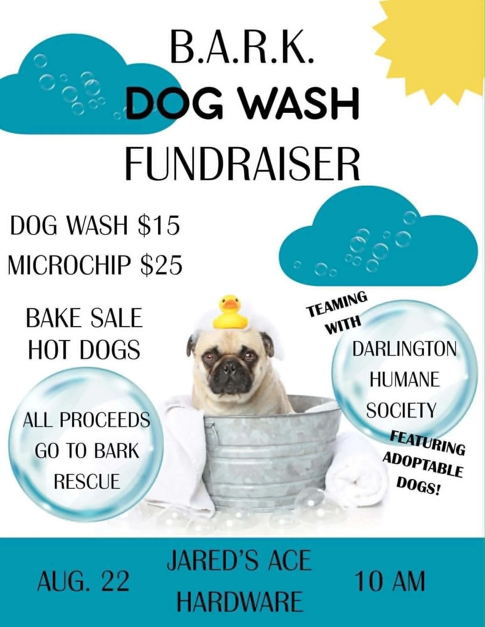 BARK Dog Wash Fundraiser
