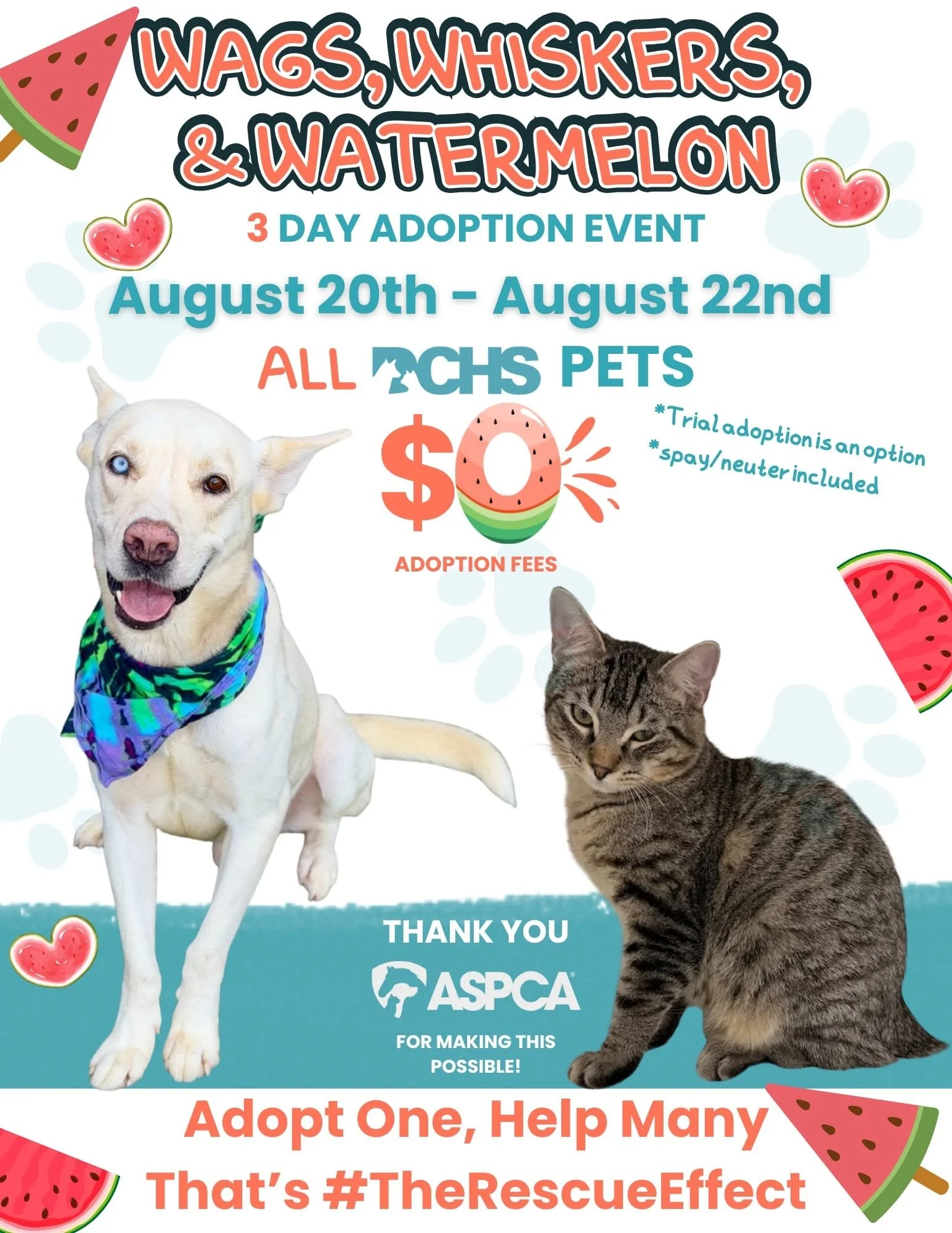 Wags, Whiskers, &amp; Watermelon $0 Adoption Event