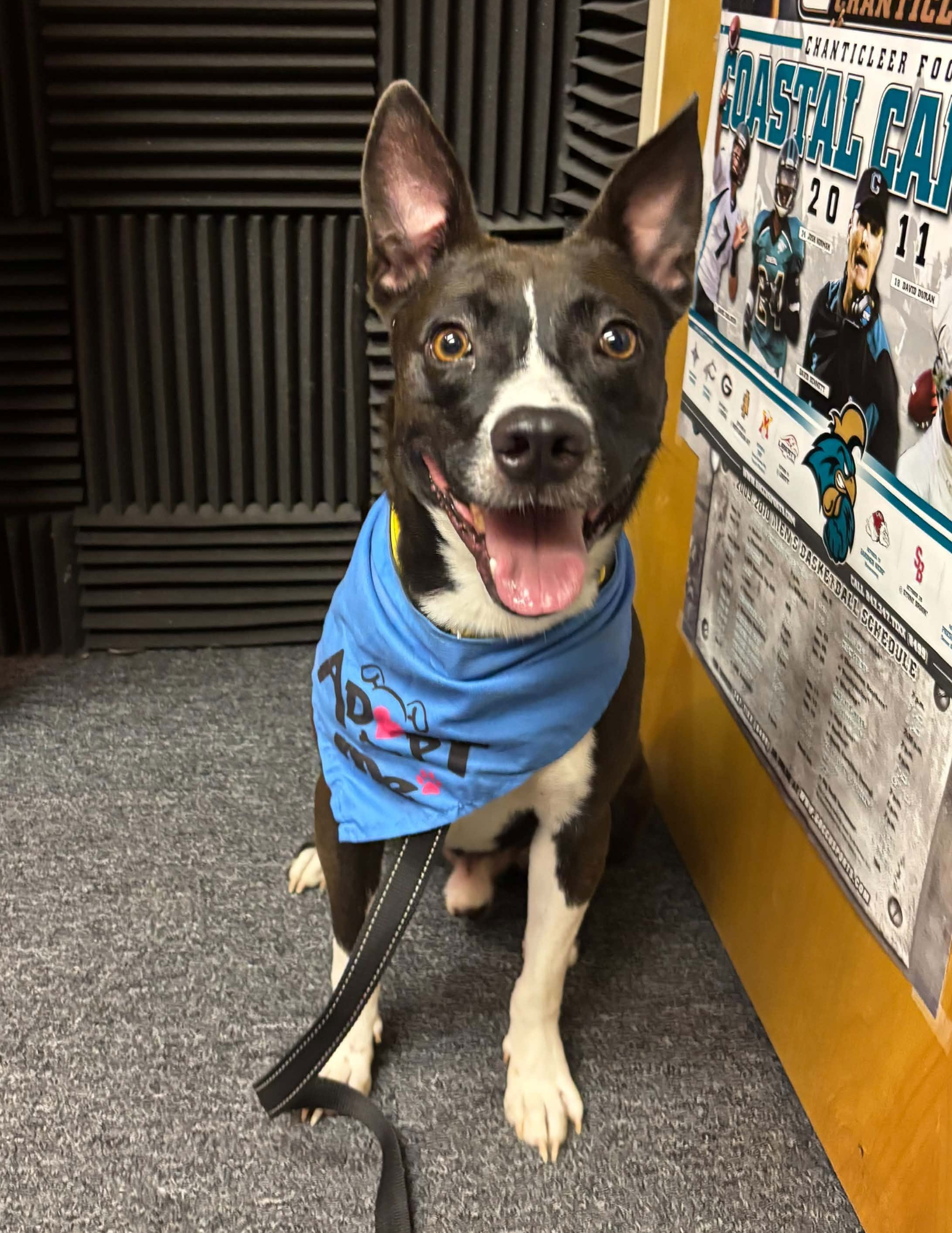 Featured Pet of the Week 