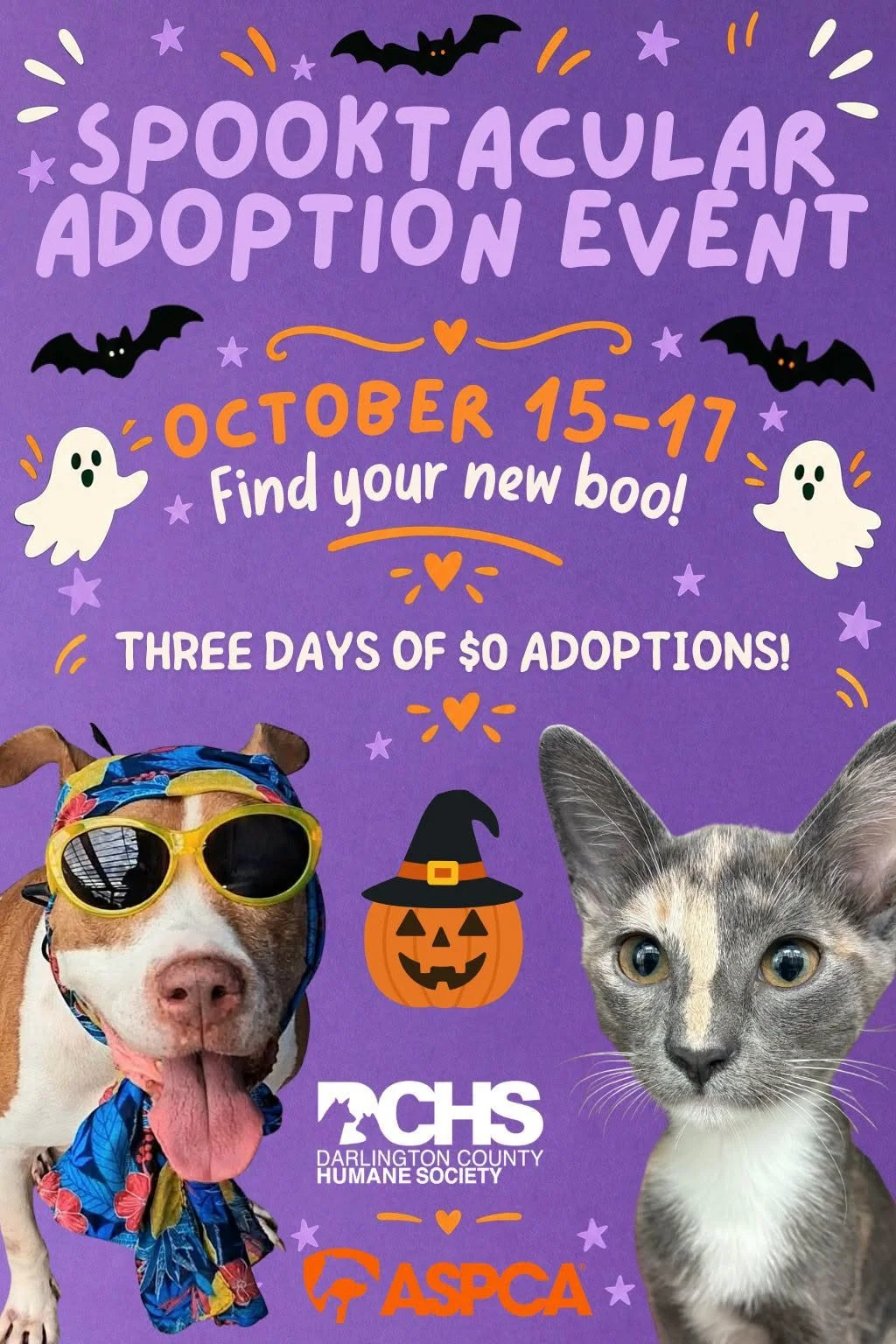 Spooktacular Adoption Event