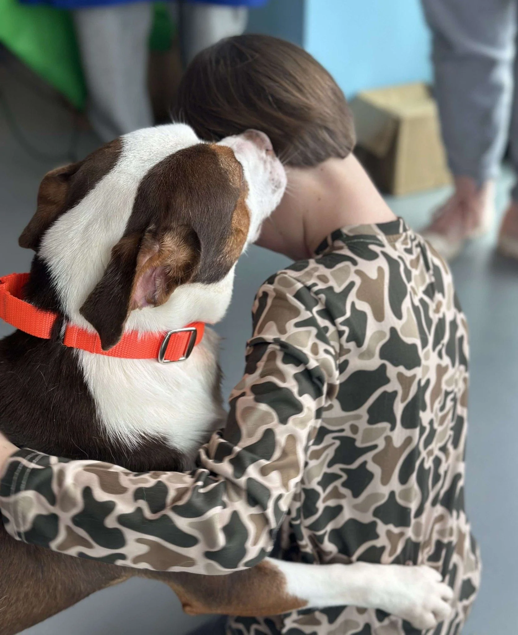 A person hugging a dog with a brown and white coat and wearing an orange collar.