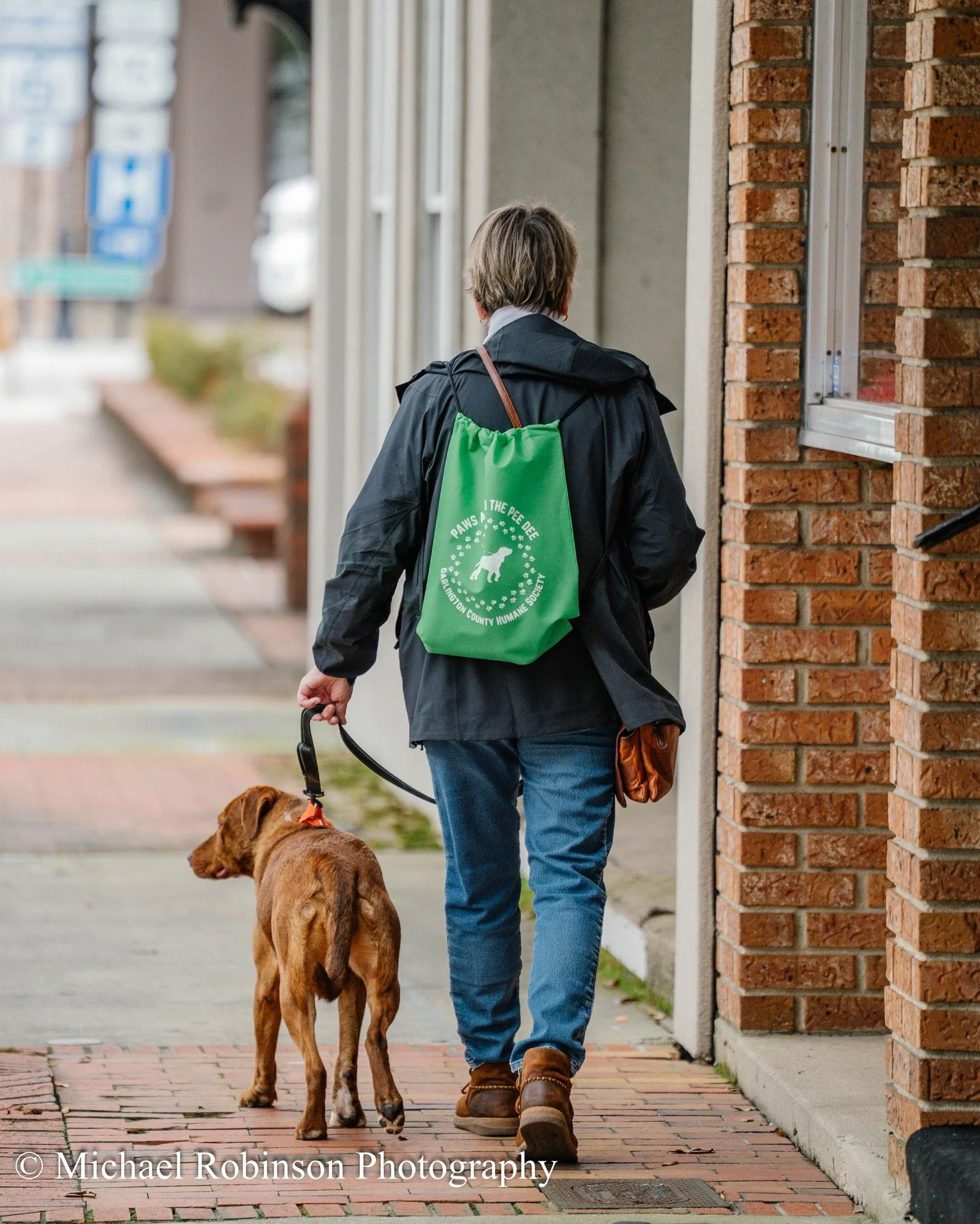 A person walking a dog on a city sidewalk, carrying a green tote bag with a logo of a dog and the words 'Paws & The Pee Dee'.