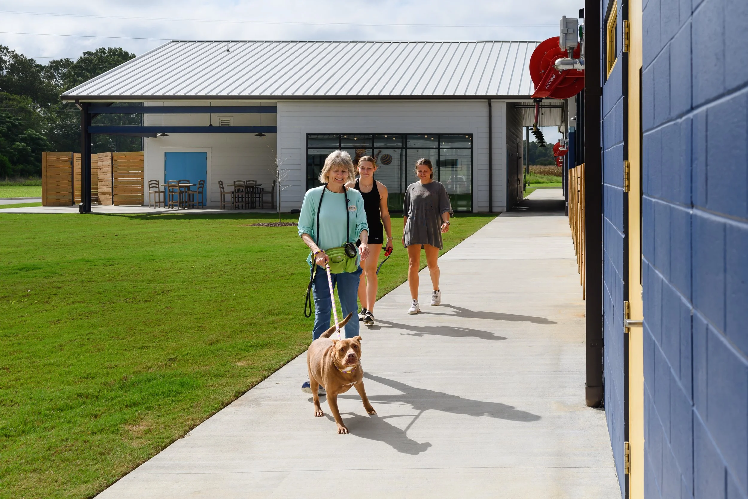 A woman walking a dog with three young women in the background outside a modern building with a grassy lawn.
