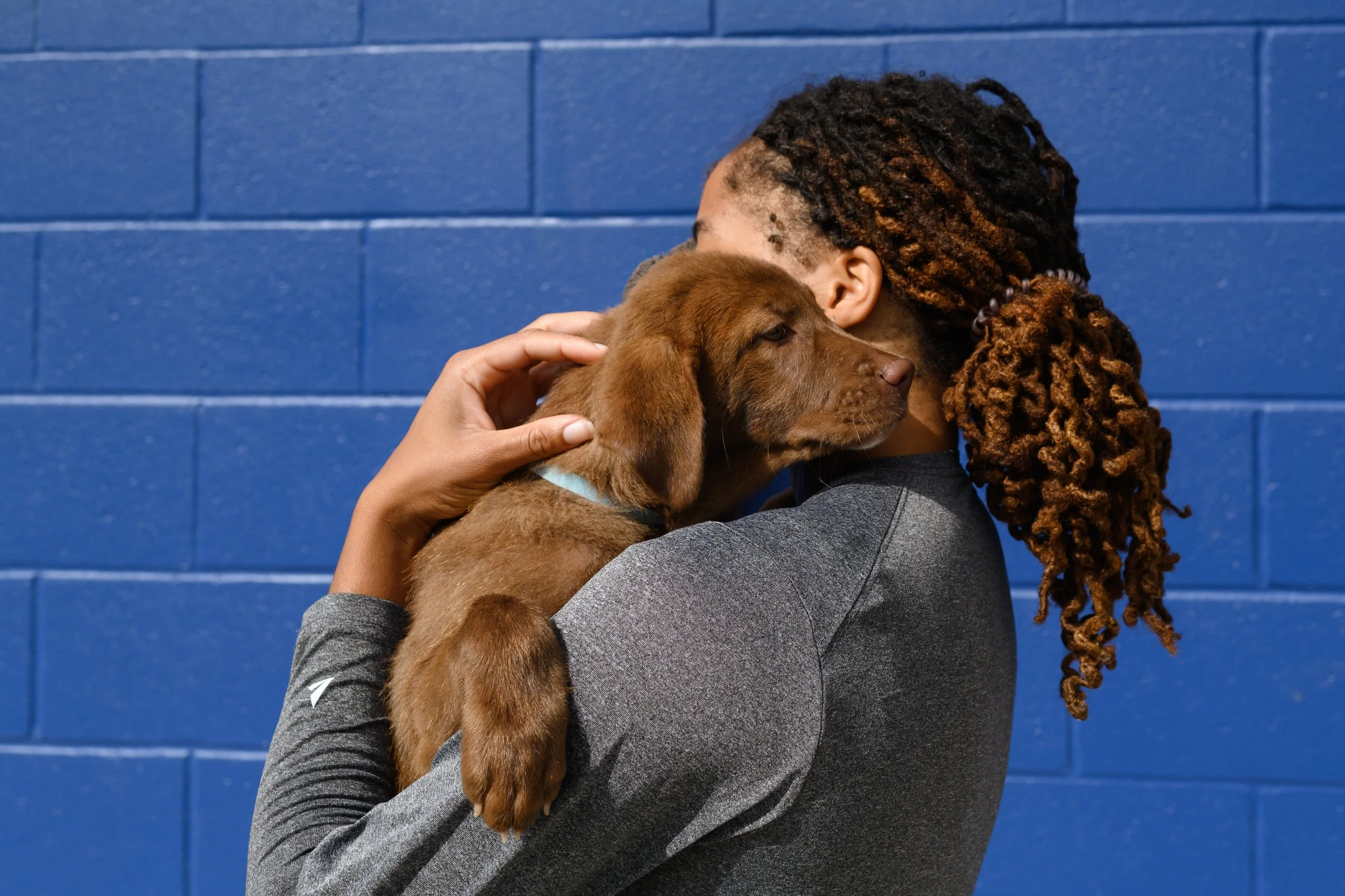 A woman with curly hair embracing a brown puppy against a blue brick wall.