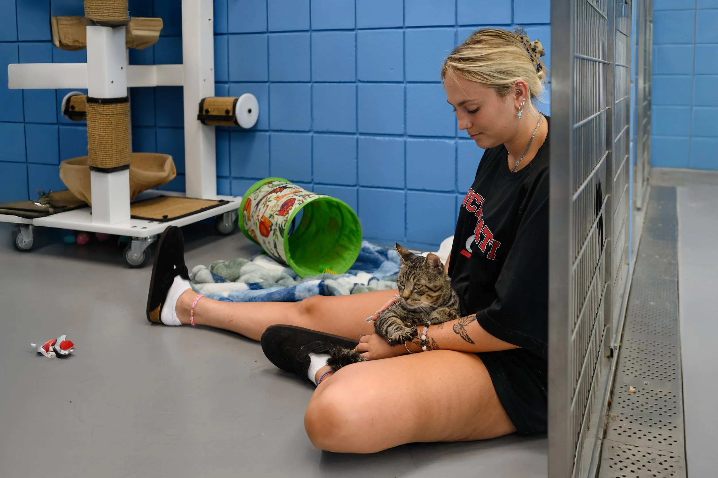 A woman sitting on the floor in a pet shelter, holding a tabby cat. The shelter has blue walls, a cage on the right, and pet toys and supplies around.