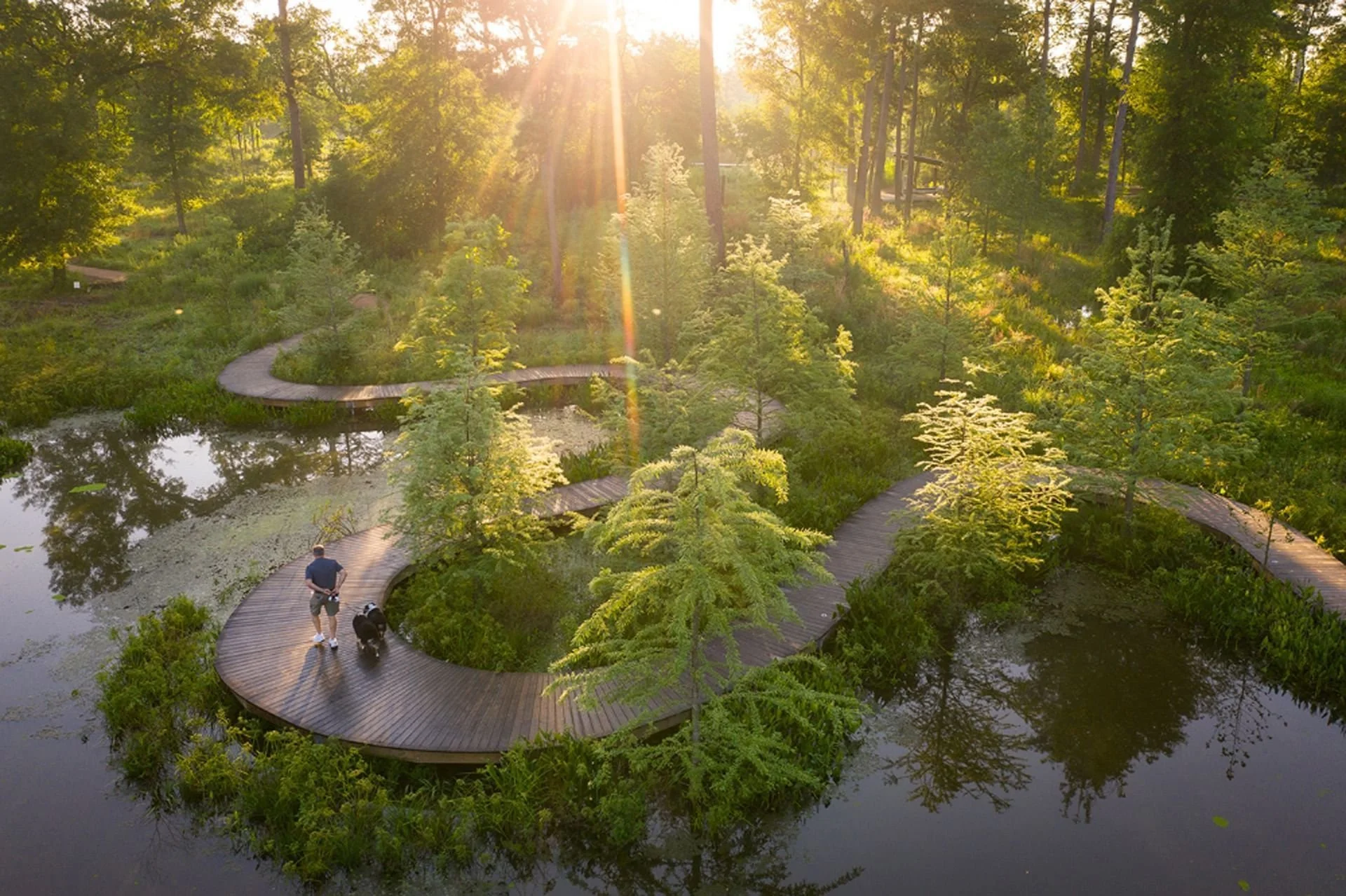 Walking Groups at the Houston Arboretum