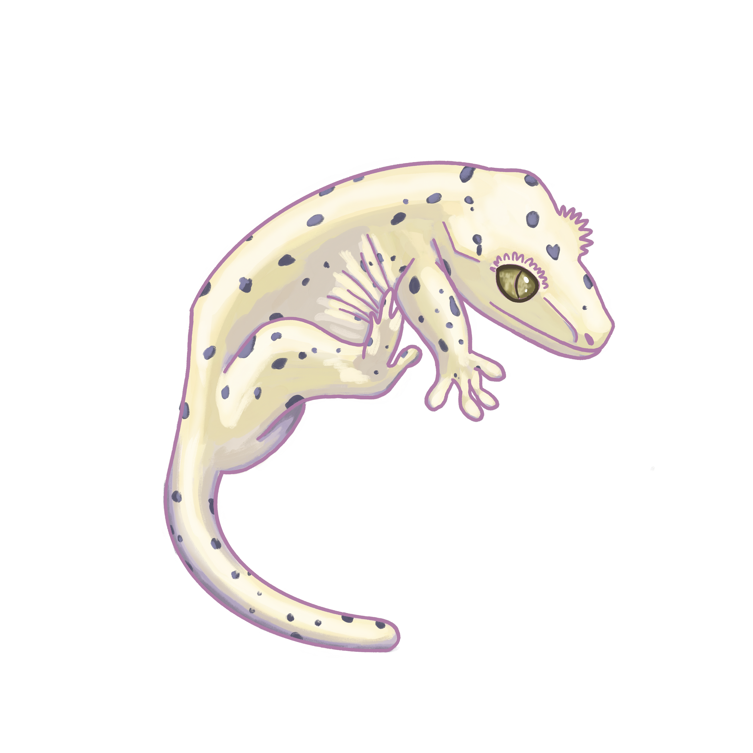 Product Announcements