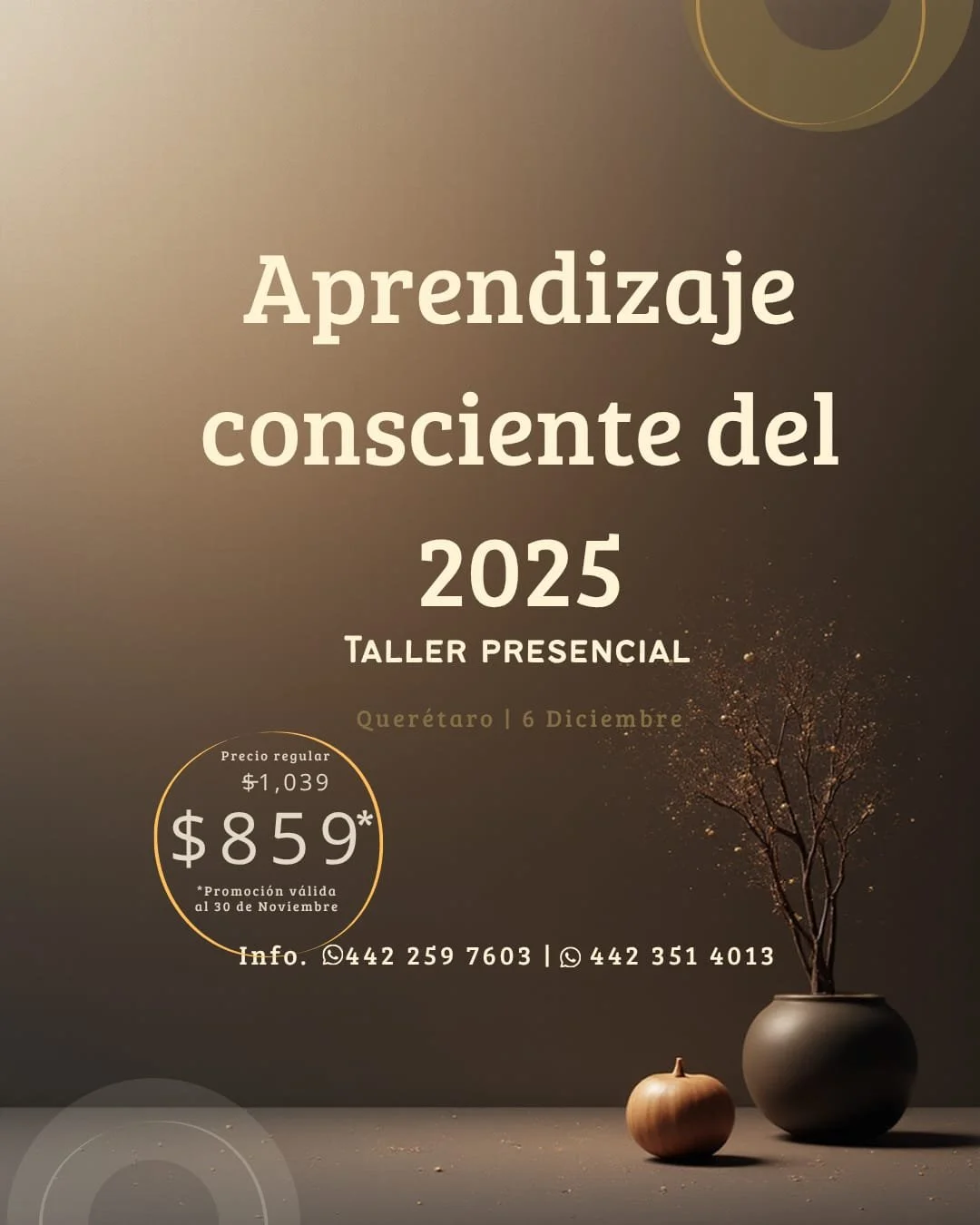 WhatsApp Image 2025-11-14 at 13.11.35.jpeg