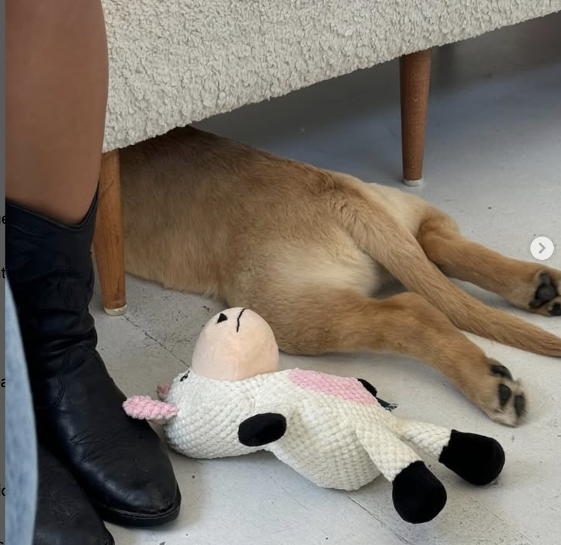 Screenshot 2025-06-05 at 1.16.23 pm.png