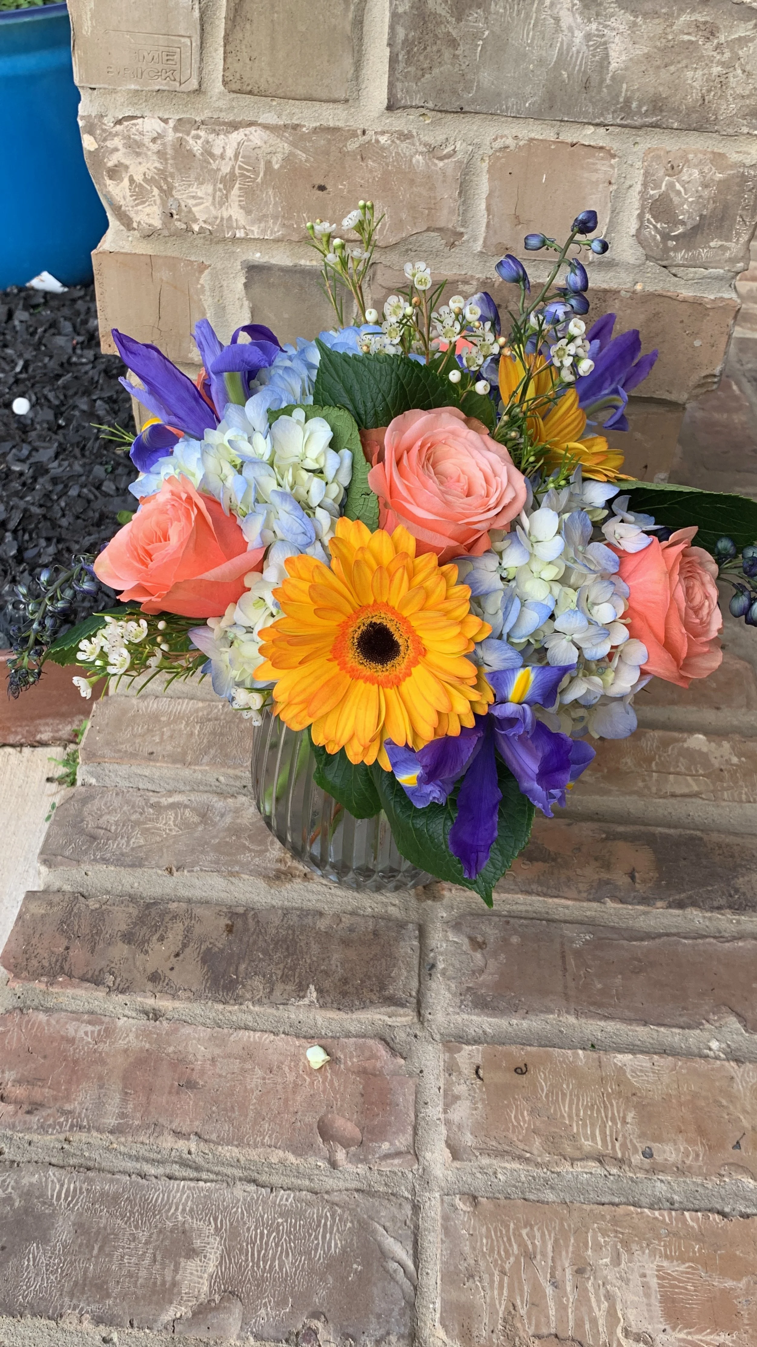 Photo May 05 2023, 8 51 43 AM.jpg