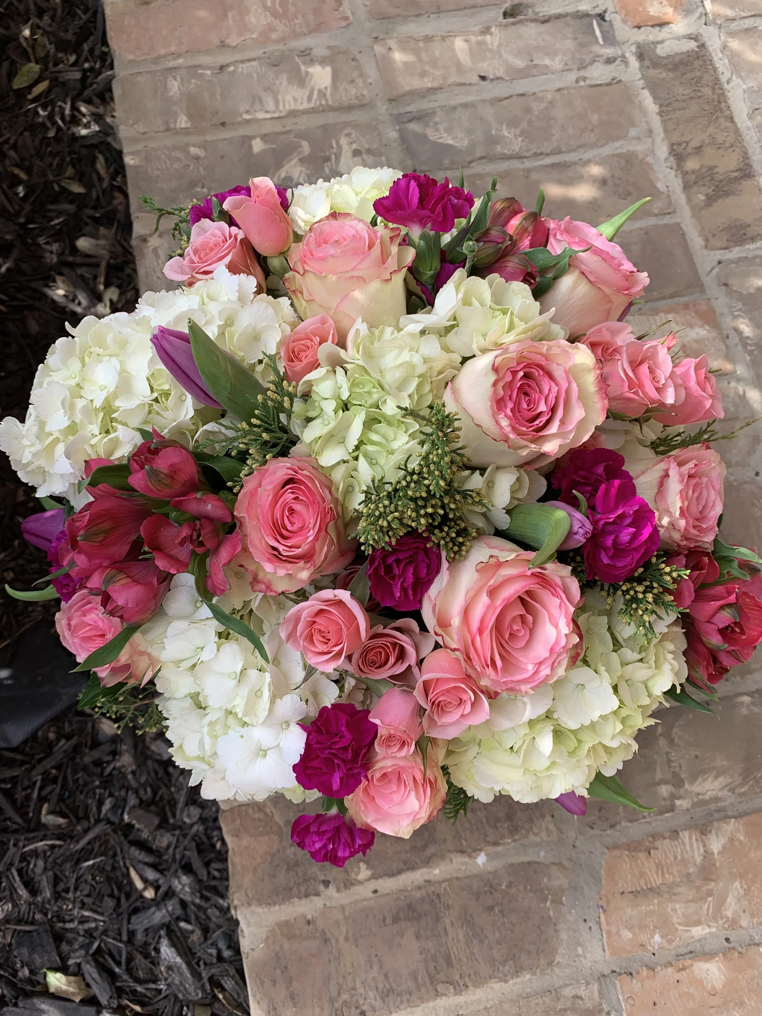 Photo Jan 21 2023, 1 58 06 PM.jpg