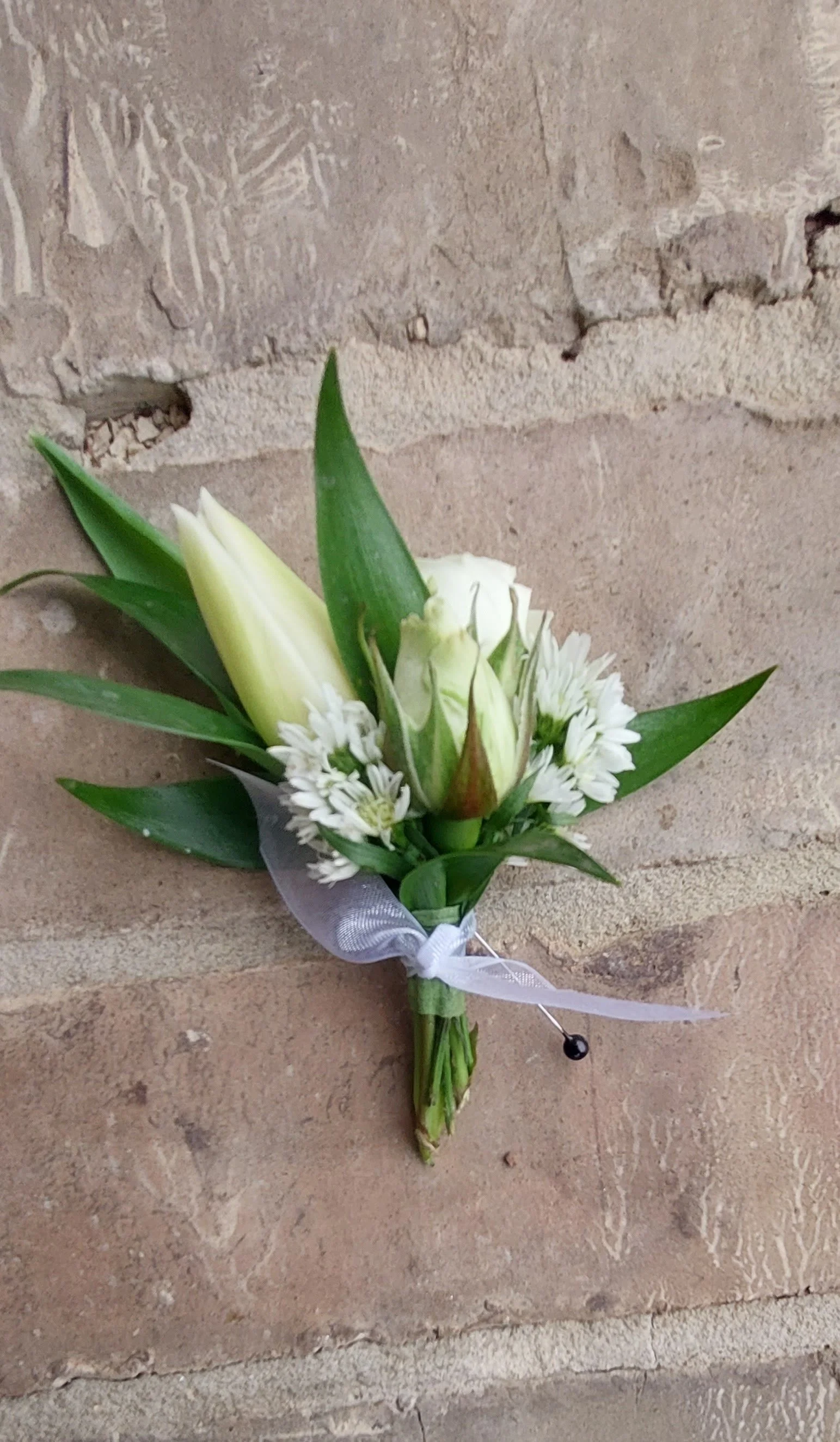 Photo Feb 25 2023, 9 31 23 AM.jpg