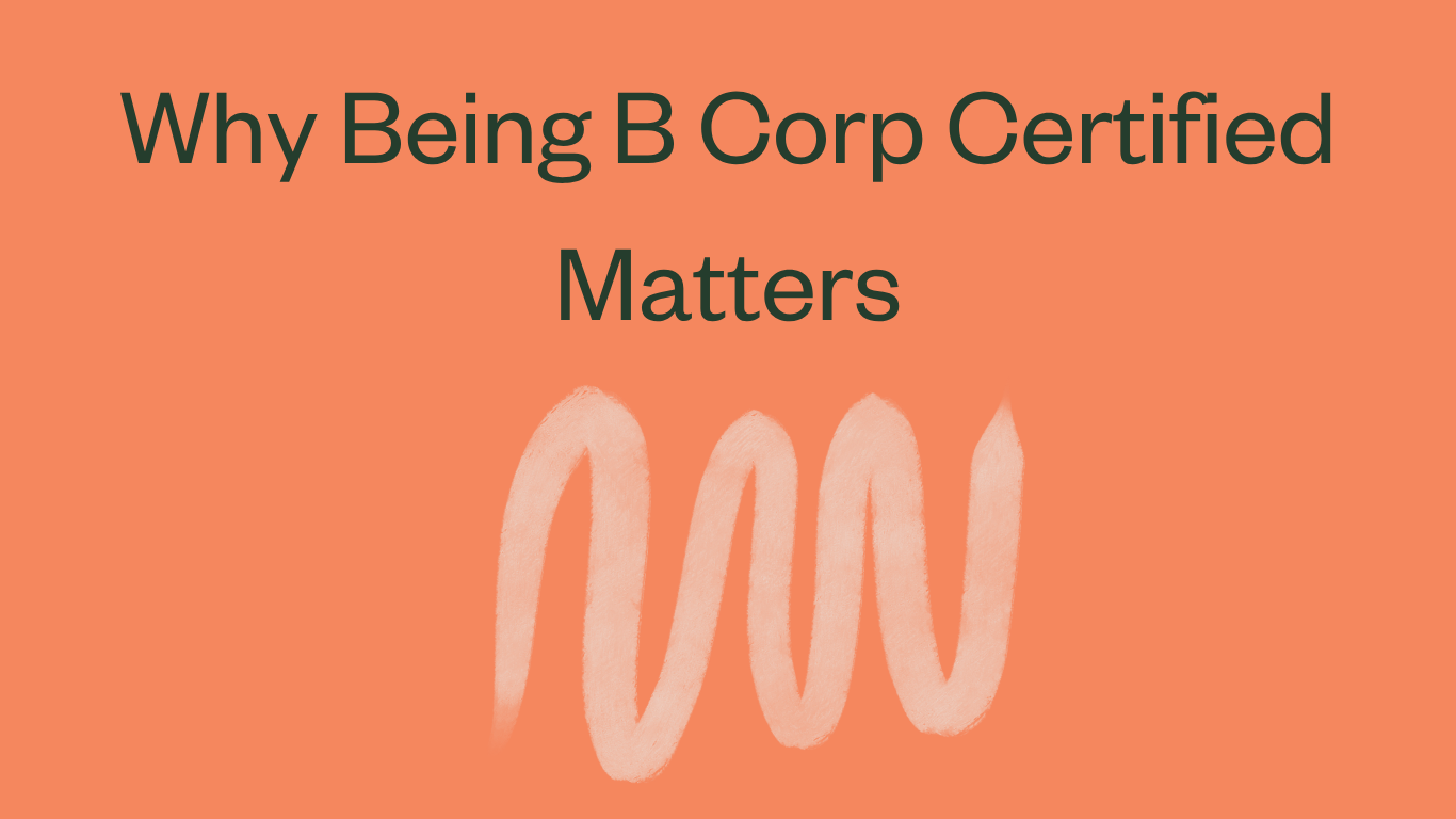 Why Being b corp certified matters.&nbsp; 